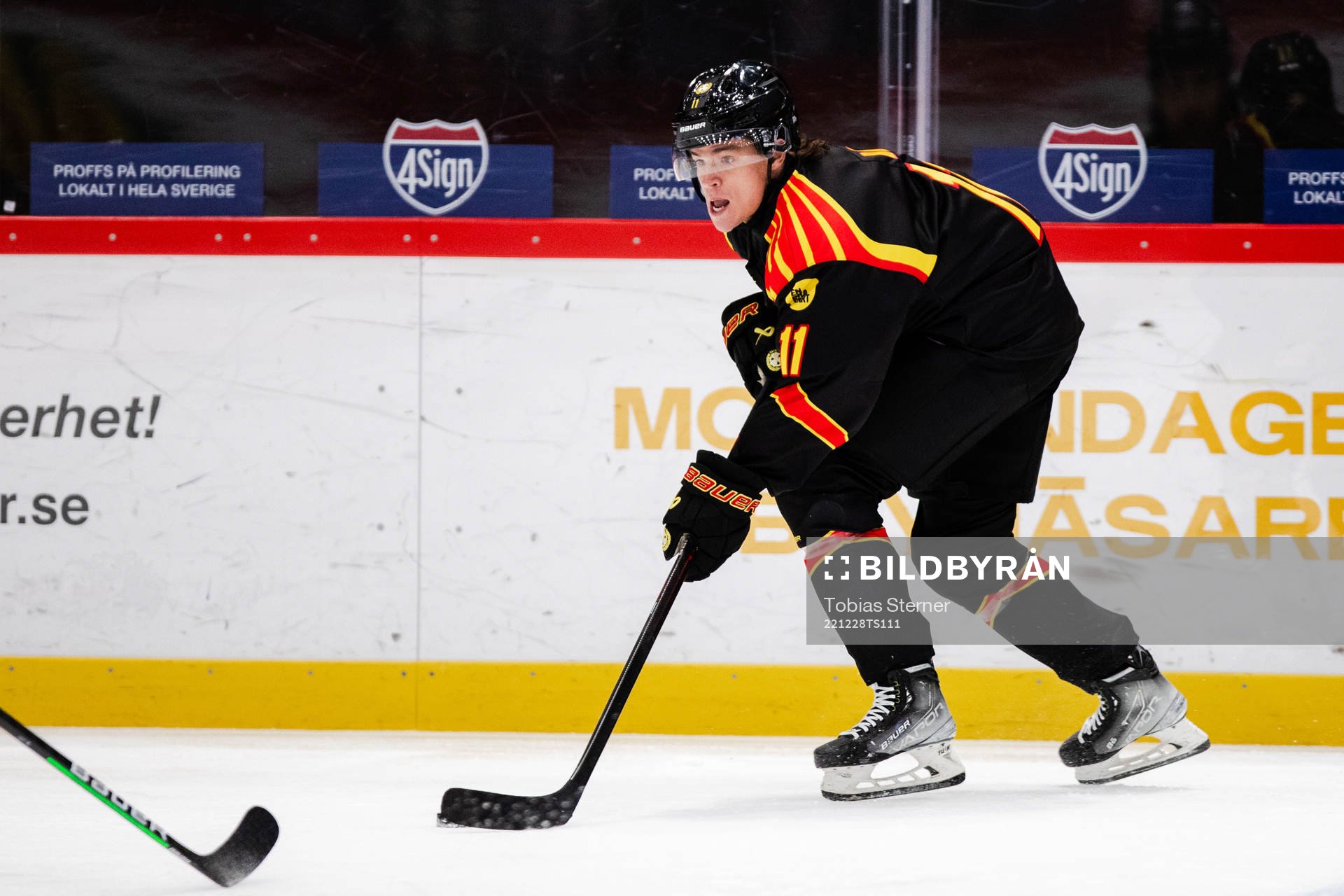 Brynäs Kevin Roy
