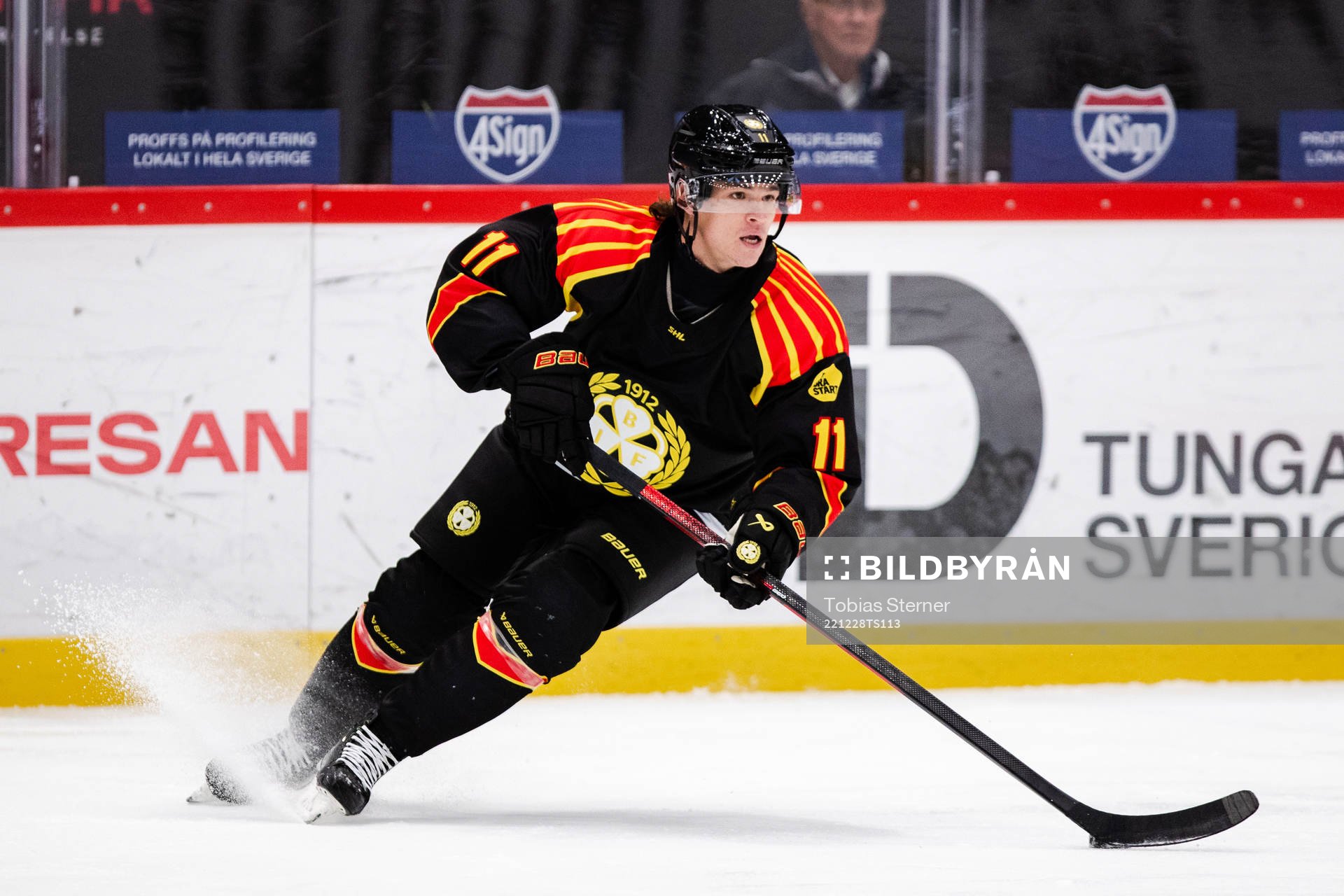 Brynäs Kevin Roy