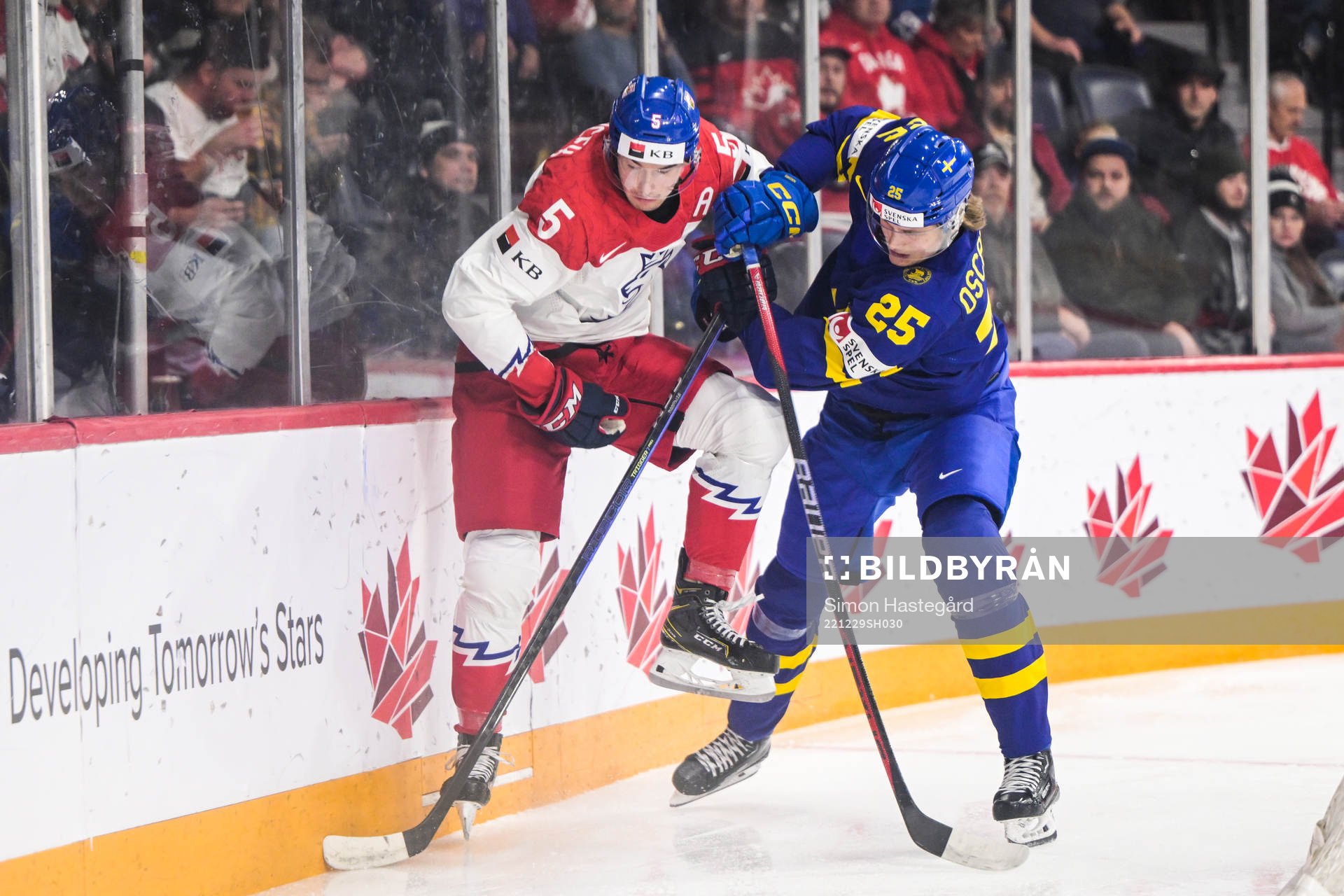 David Jiricek of Czech Republic and Milton Oscarson of