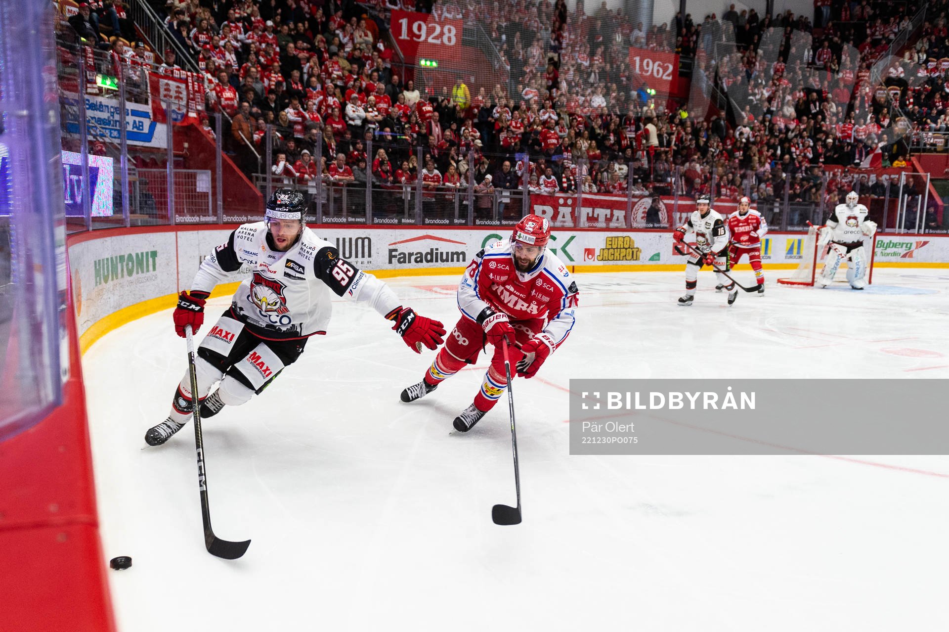 Malmö Redhawks Carl Persson och Timrås Robin Hanzl