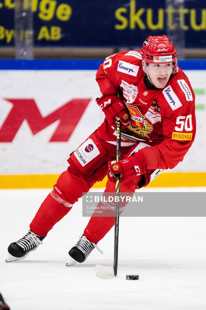 Almtunas Georgs Golovkovs