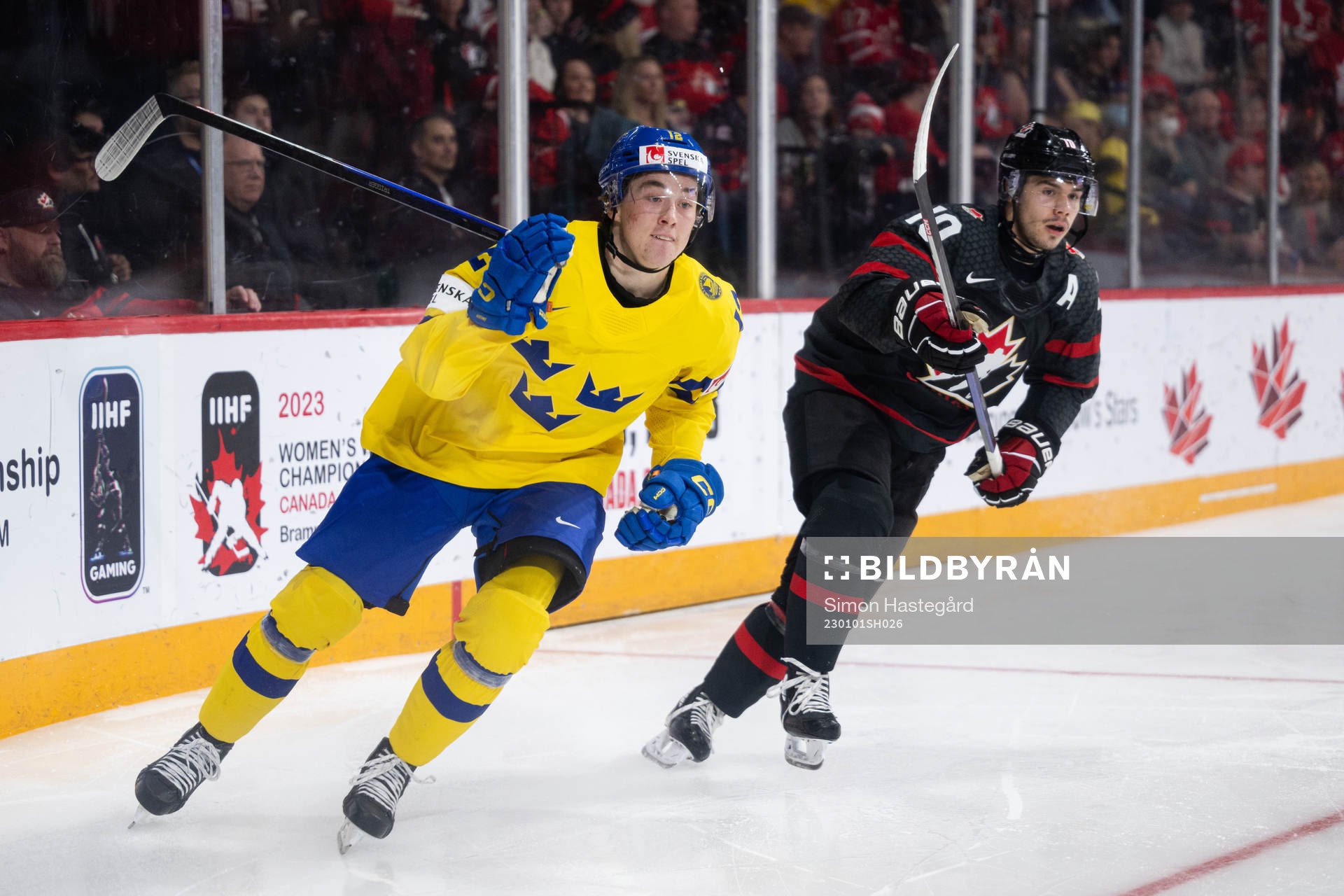 Noah Östlund of Sweden and Logan Stankoven of Canada