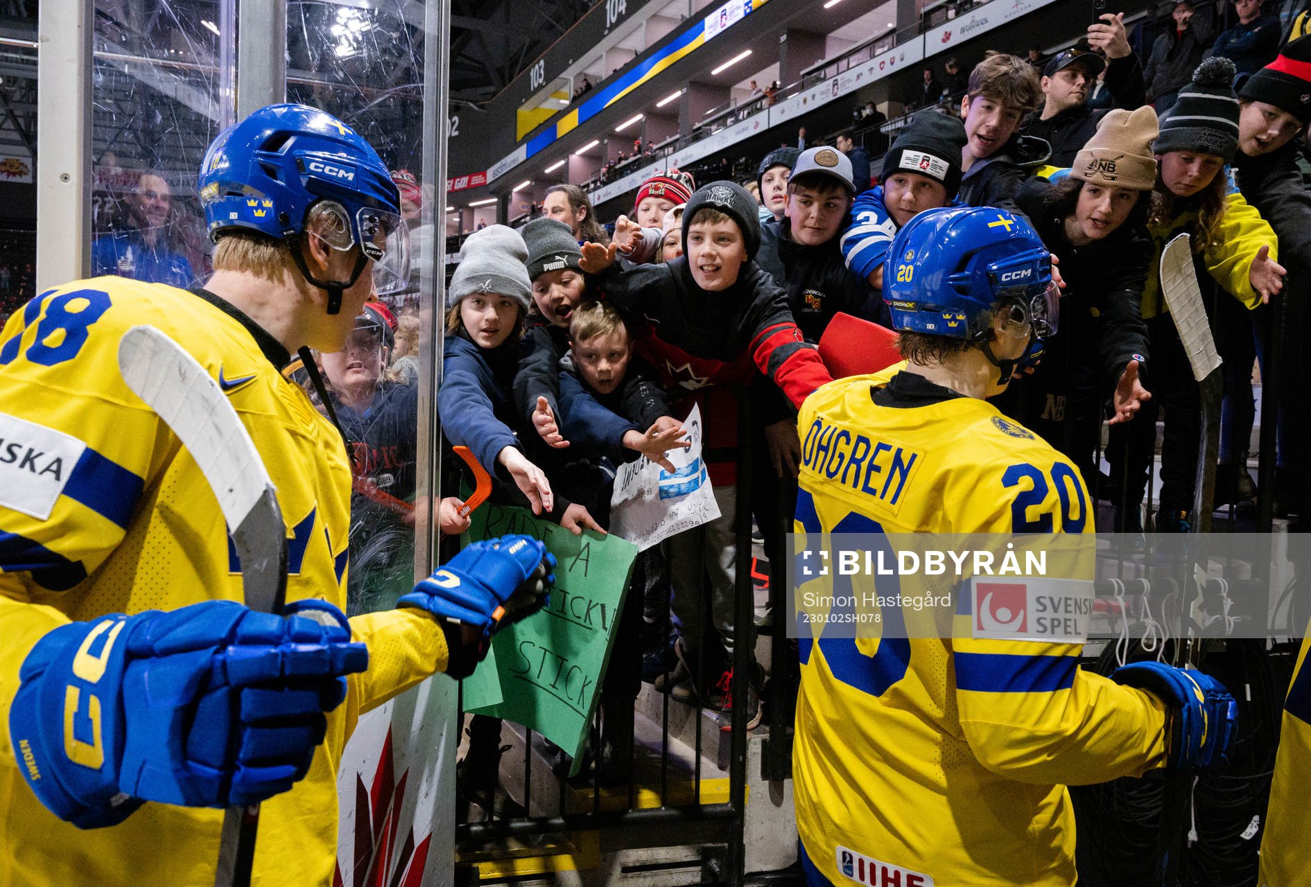 Players and fans of Sweden celebrate