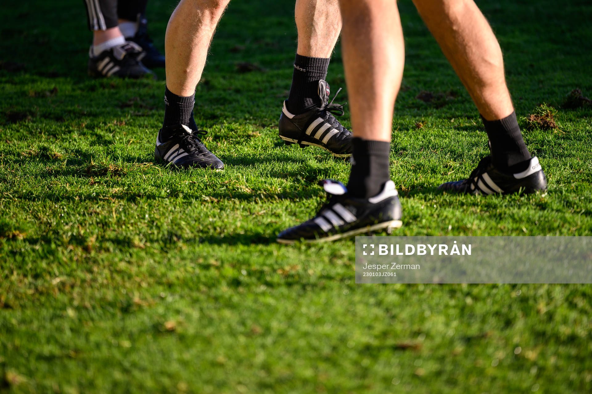 Staff members of the Swedish national football team trying