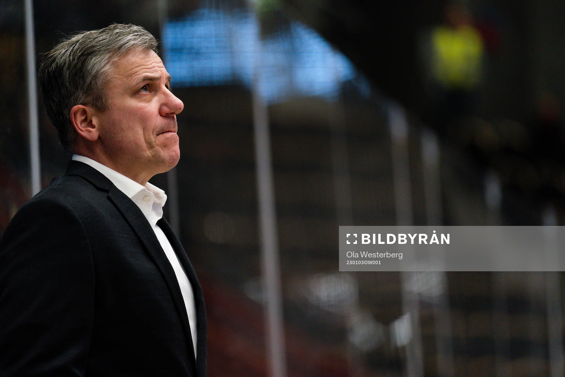 HV71s assisterande tränare Fredrik Stillman