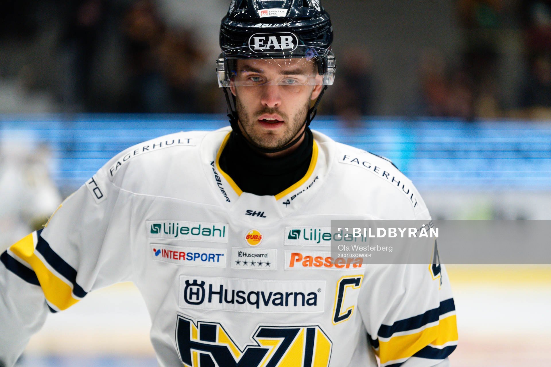 HV71s Niklas Hjalmarsson