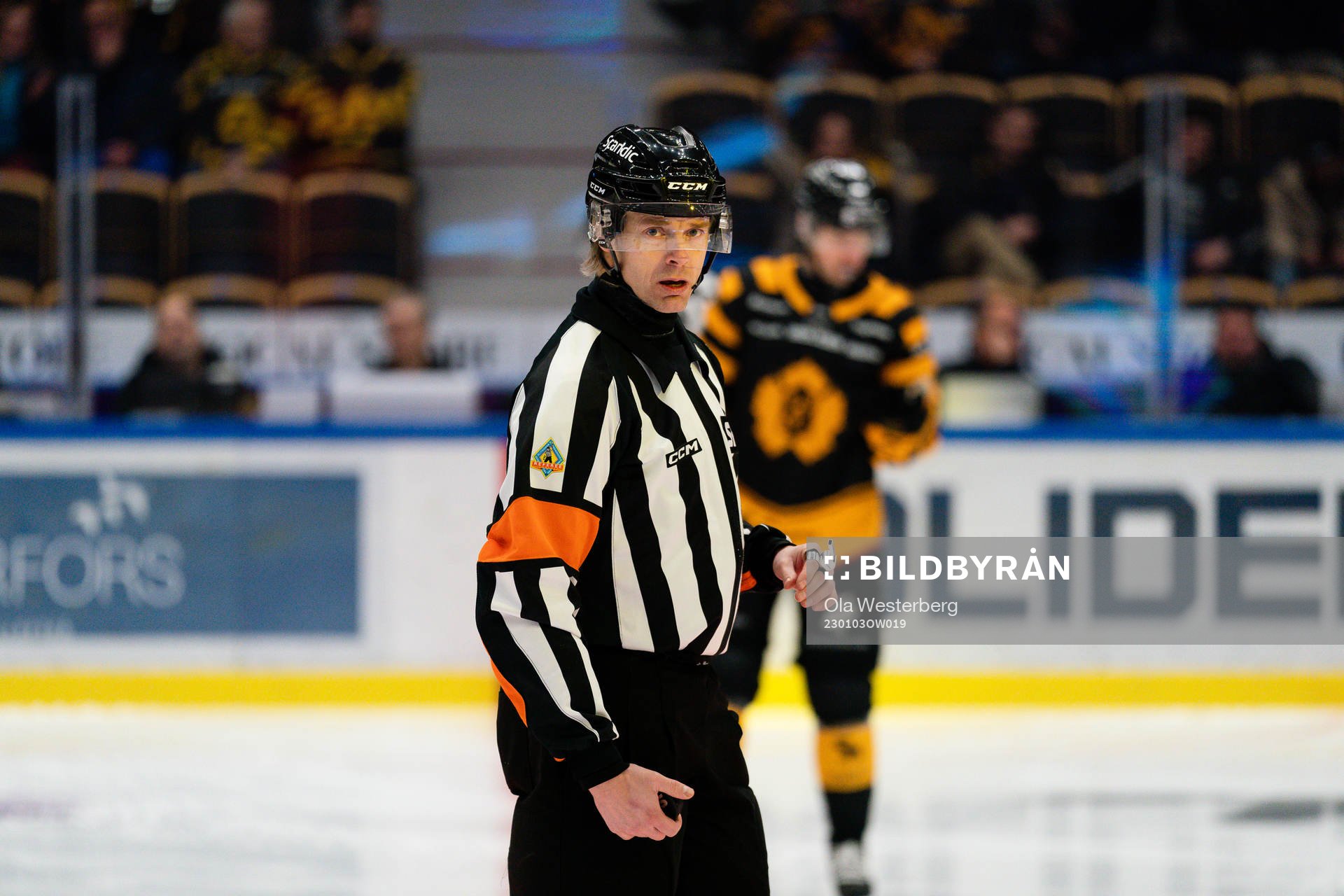 Domare Mikael Andersson