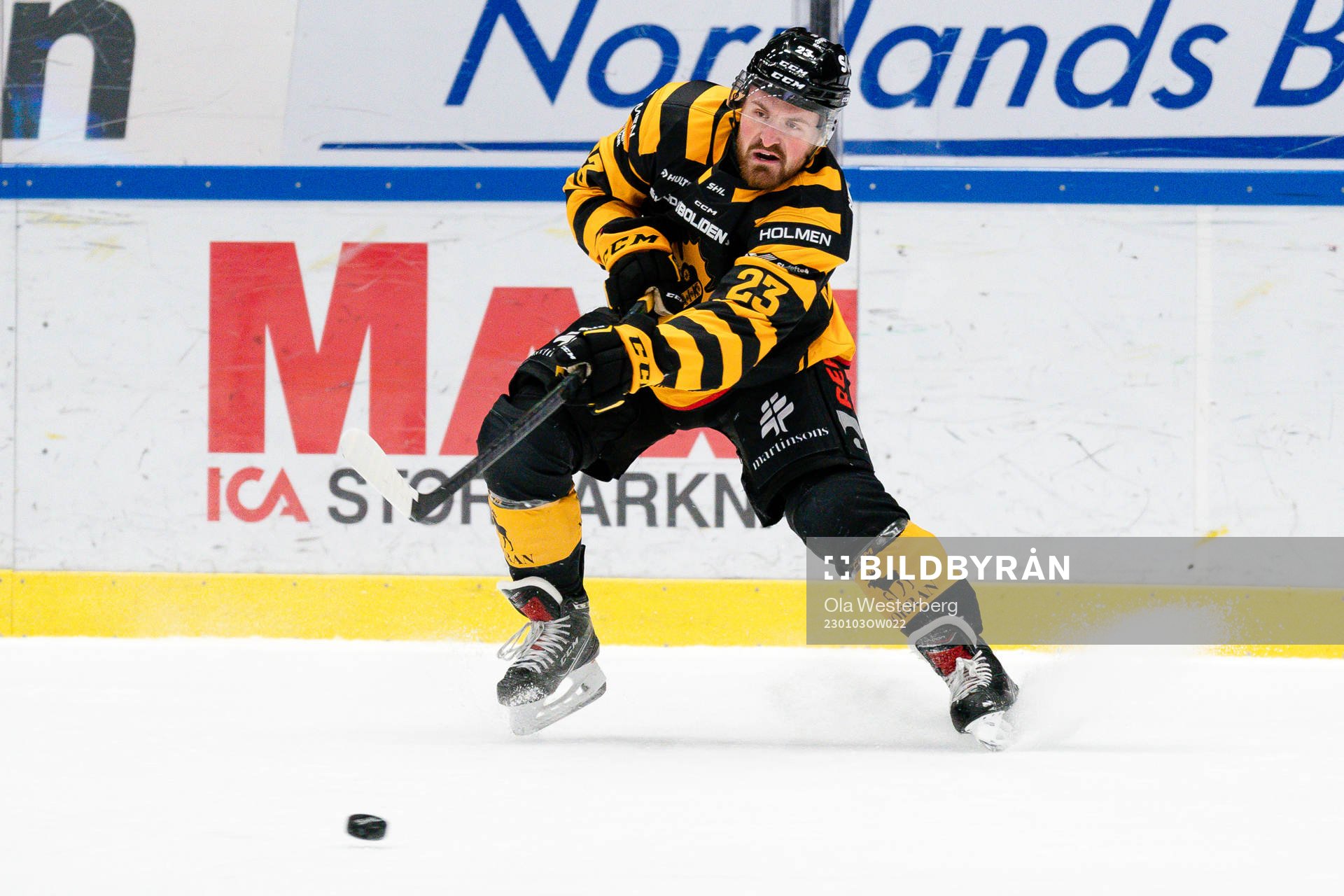 Skellefteås Adam Mascherin