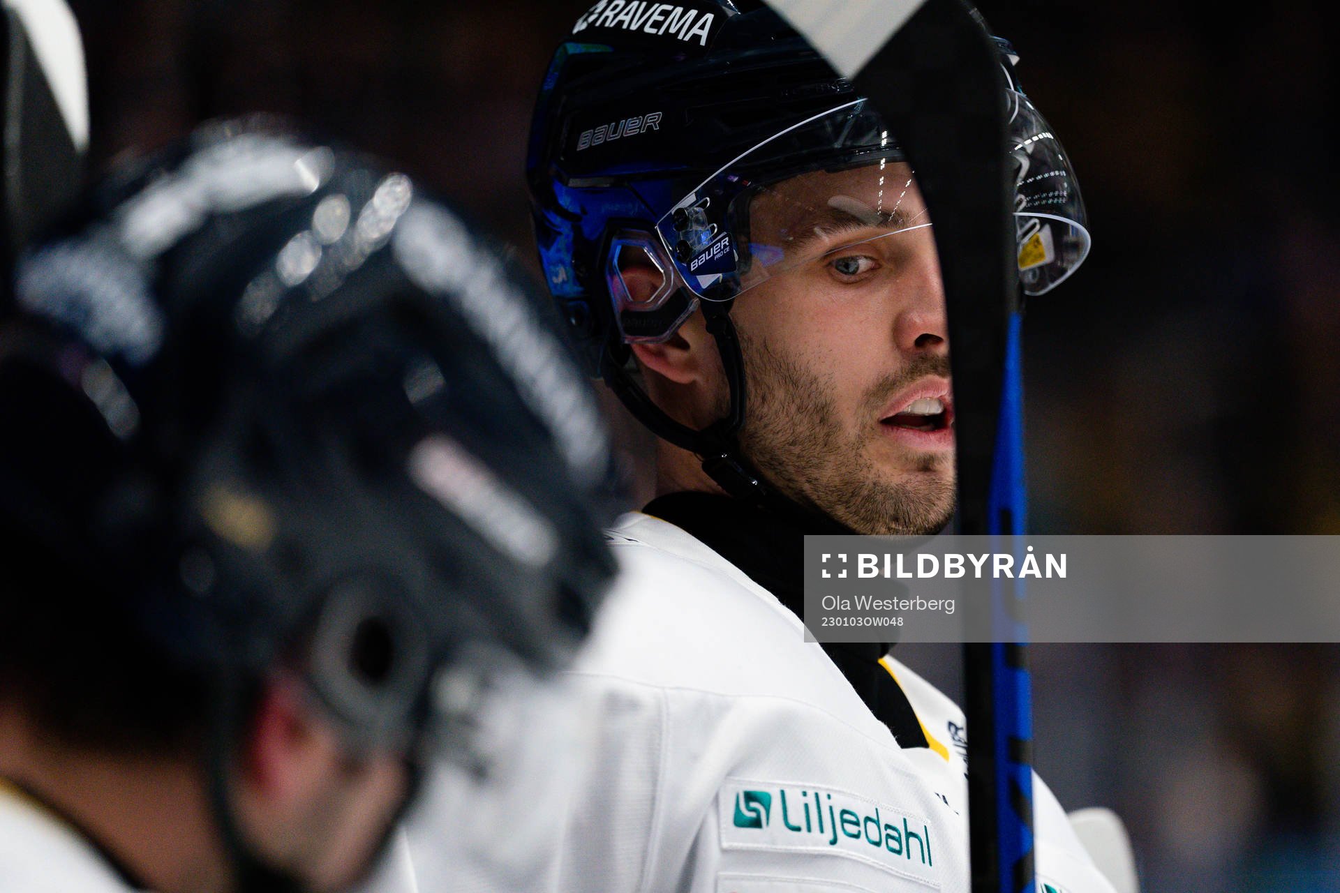 HV71s Niklas Hjalmarsson
