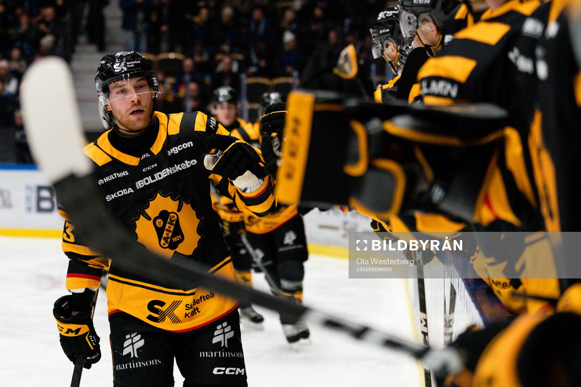 Skellefteås Filip Sandberg jublar