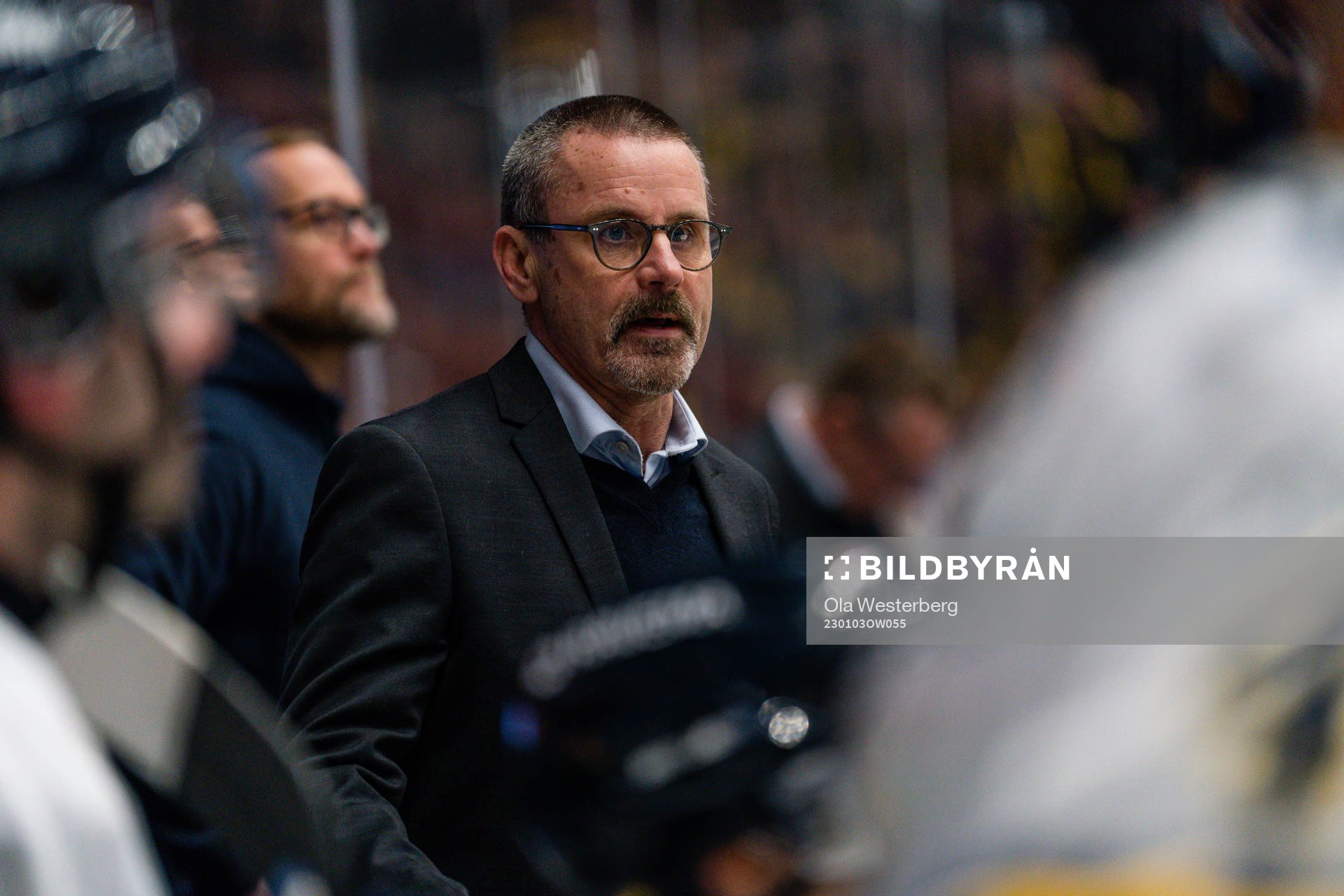 HV71s tränare Tommy Samuelsson