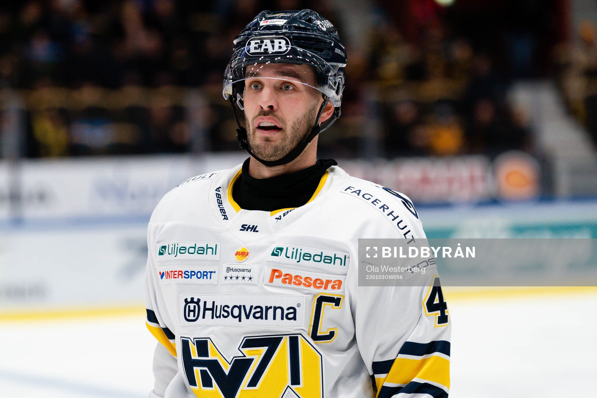 HV71s Niklas Hjalmarsson