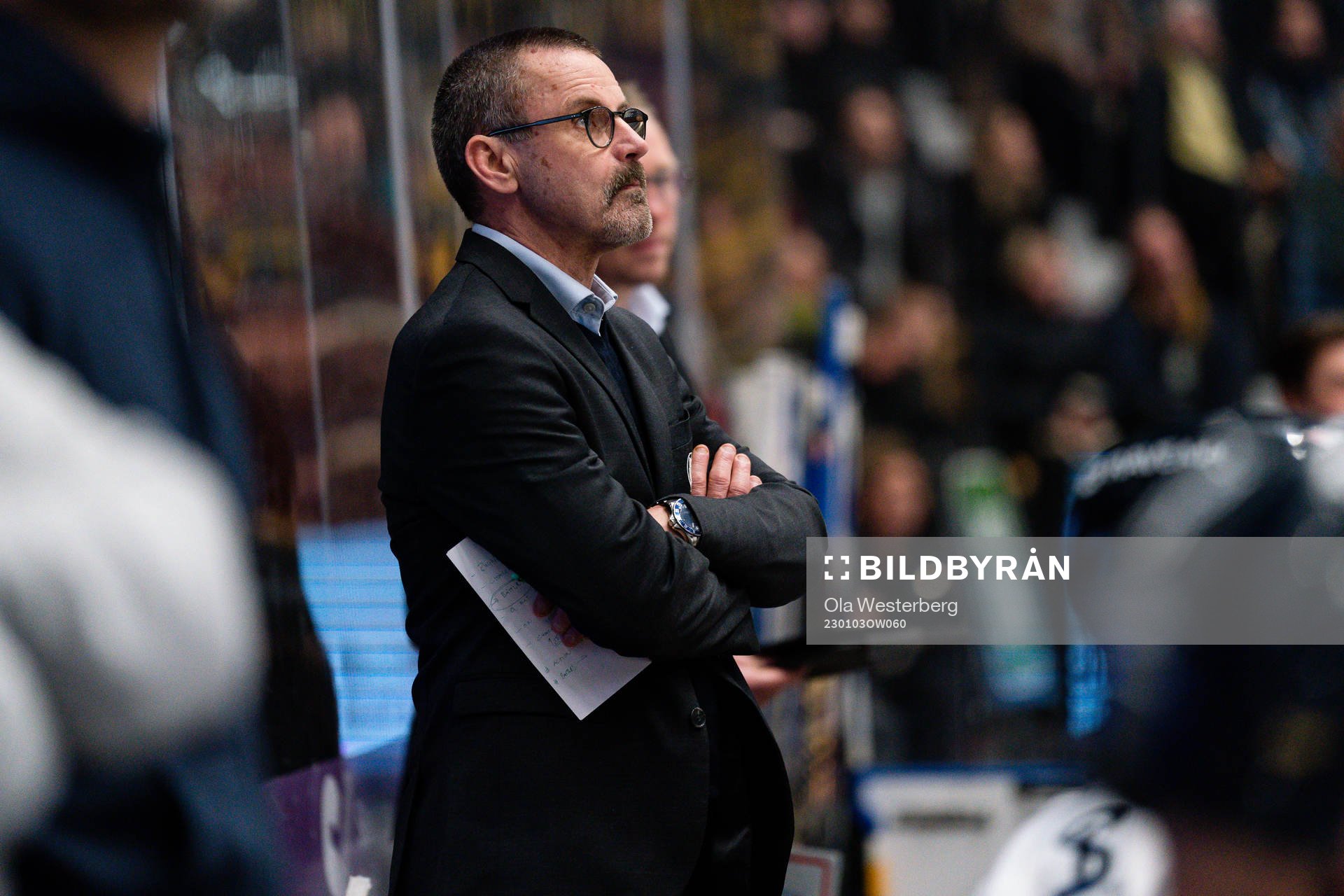 HV71s tränare Tommy Samuelsson