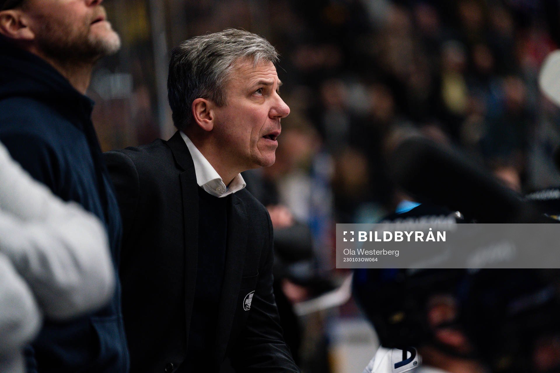 HV71s assisterande tränare Fredrik Stillman