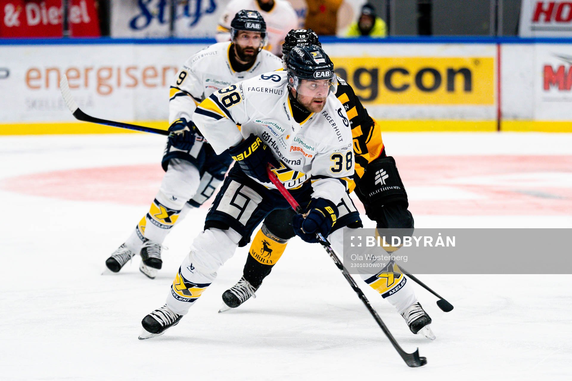 HV71s Nichlas Torp