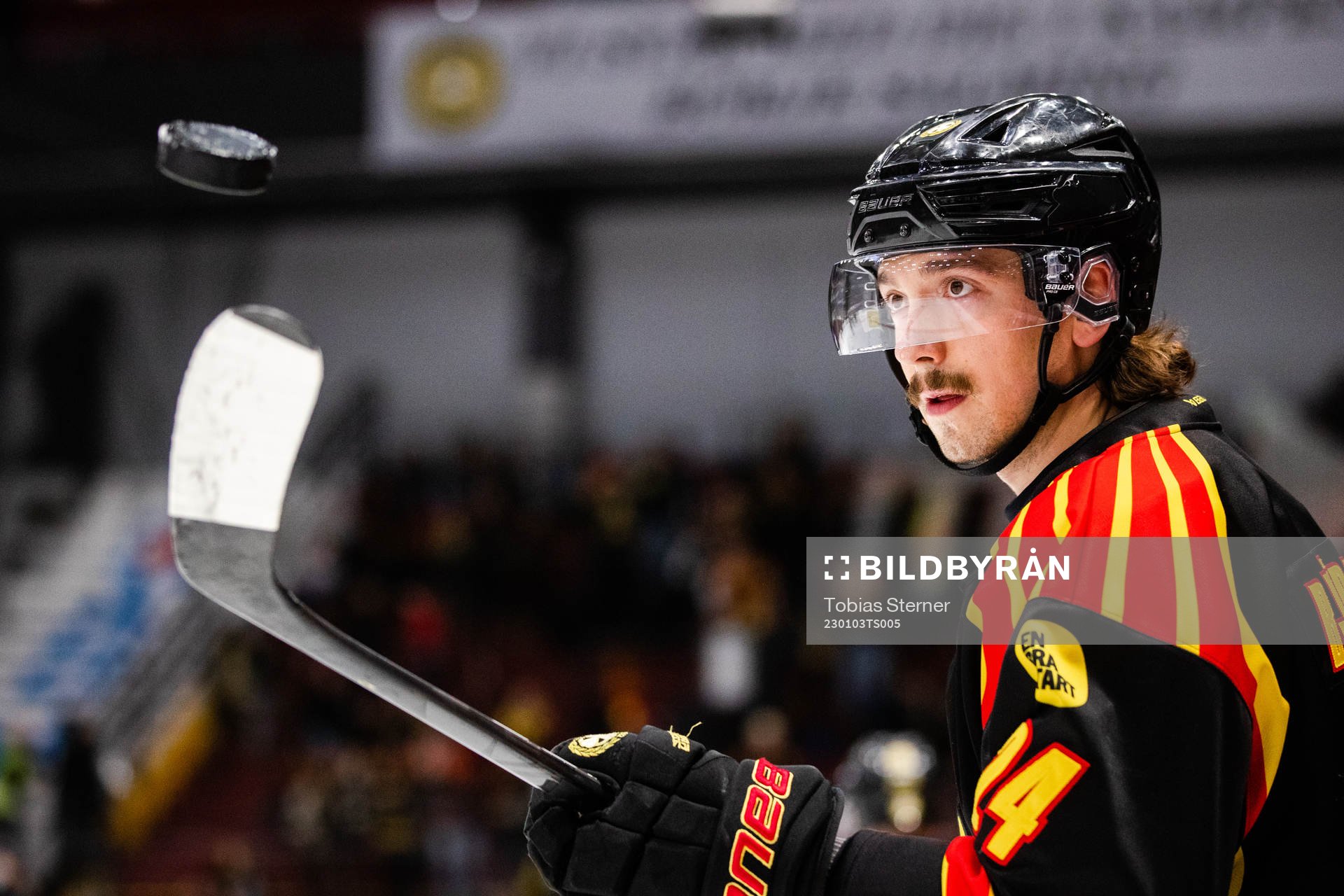 Brynäs Hannes Björninen