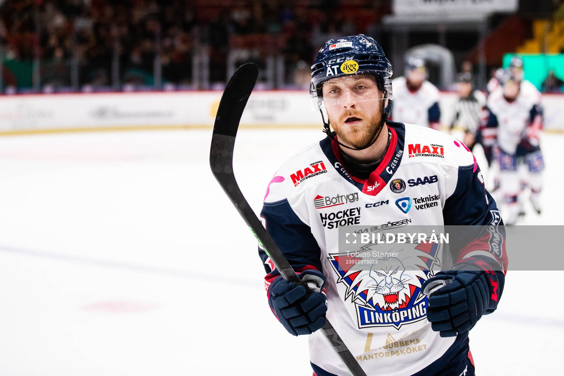 Linköpings Linus Hultström jublar