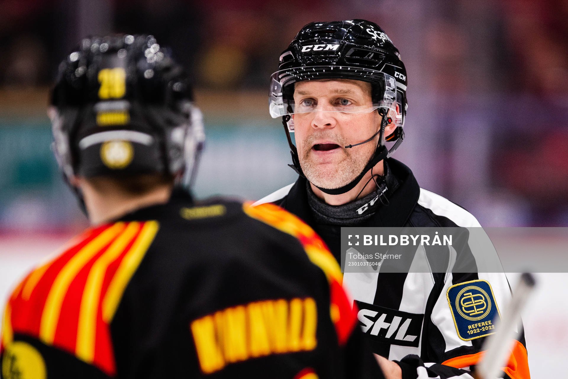 Domare Mikael Nord