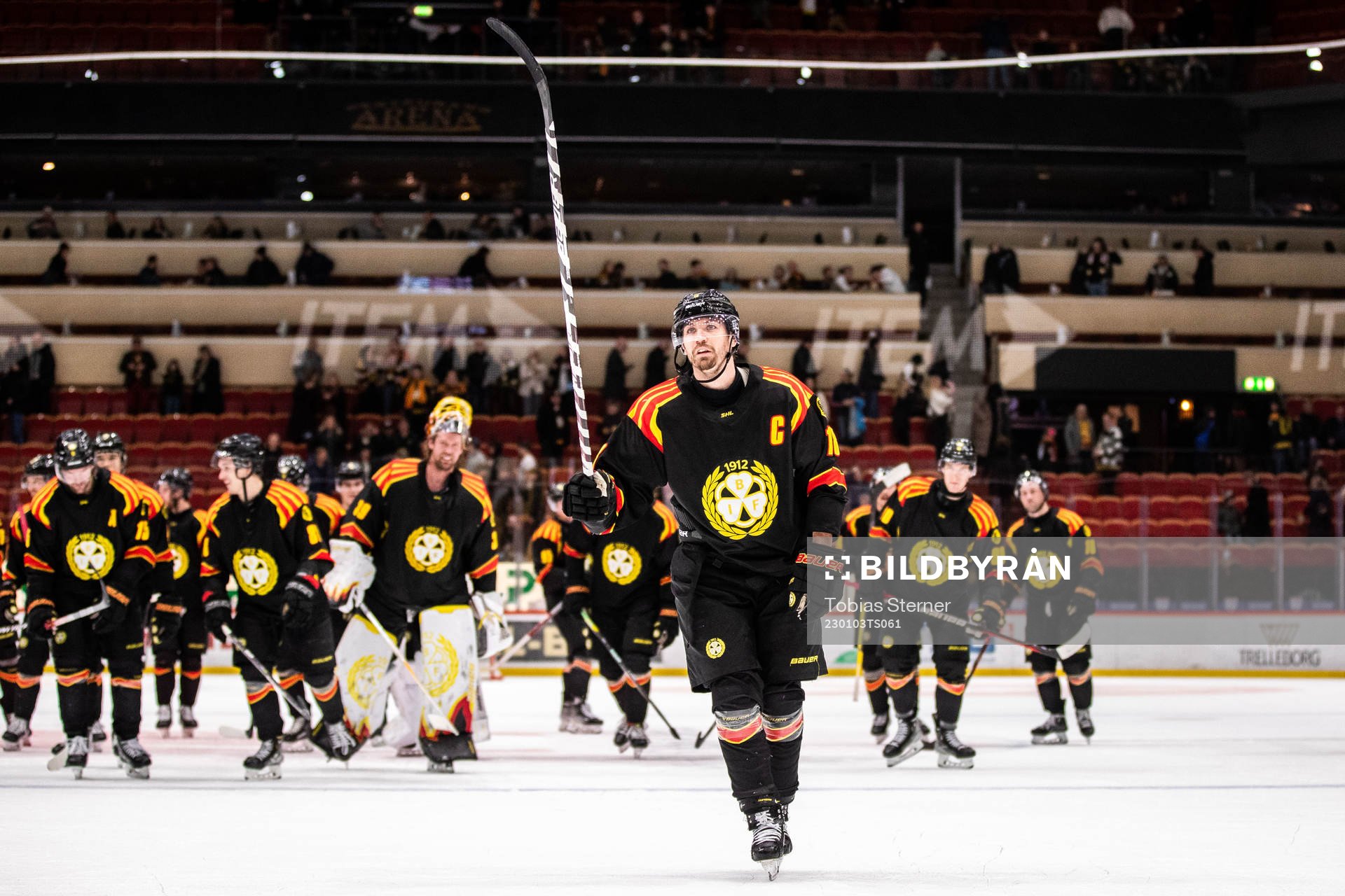 Brynäs Anton Rödin jublar
