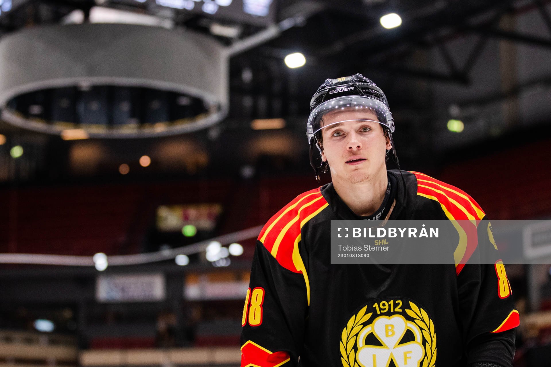 Brynäs Dmytro Timashov