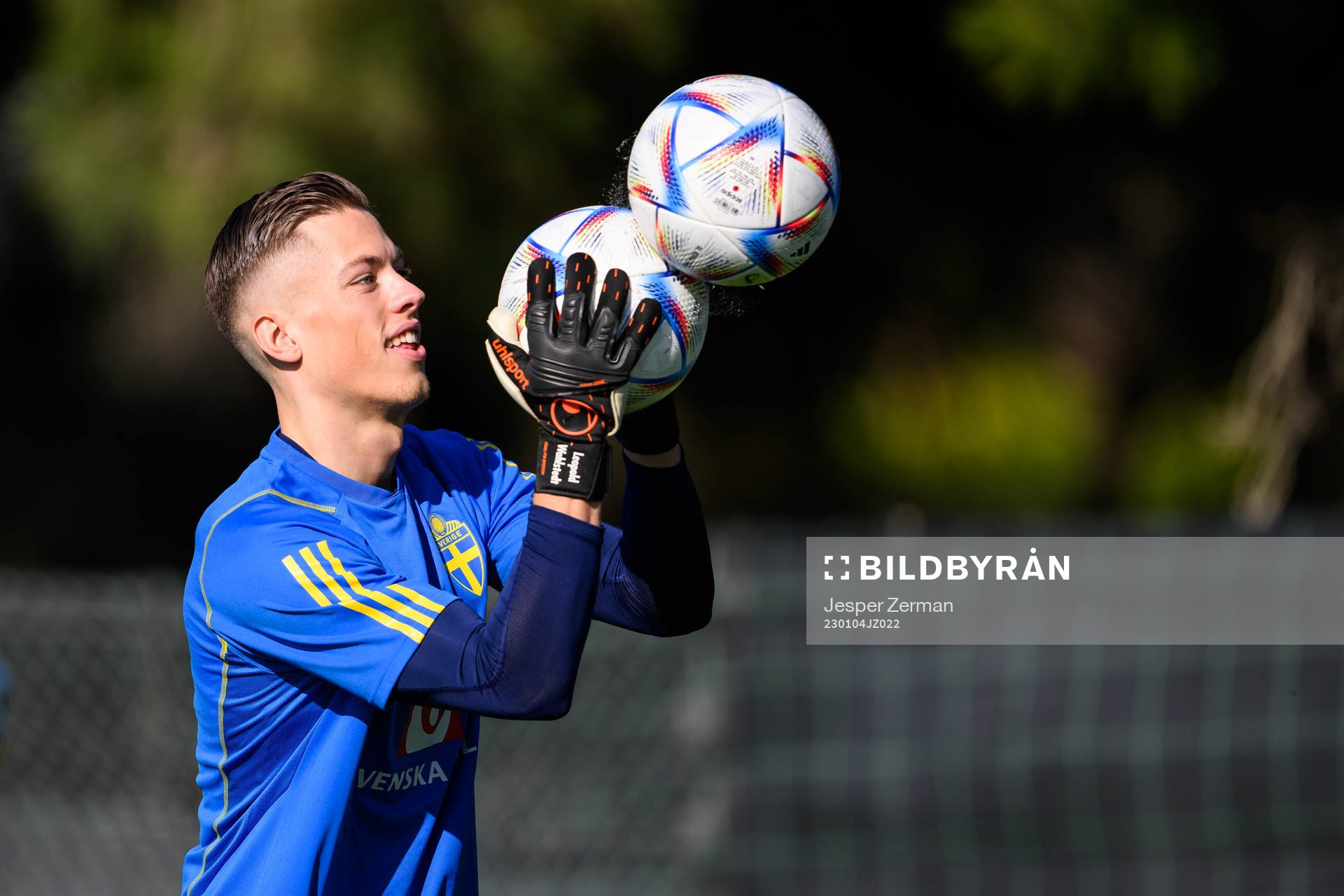 goalkeeper Leopold Wahlstedt of the Swedish men's football