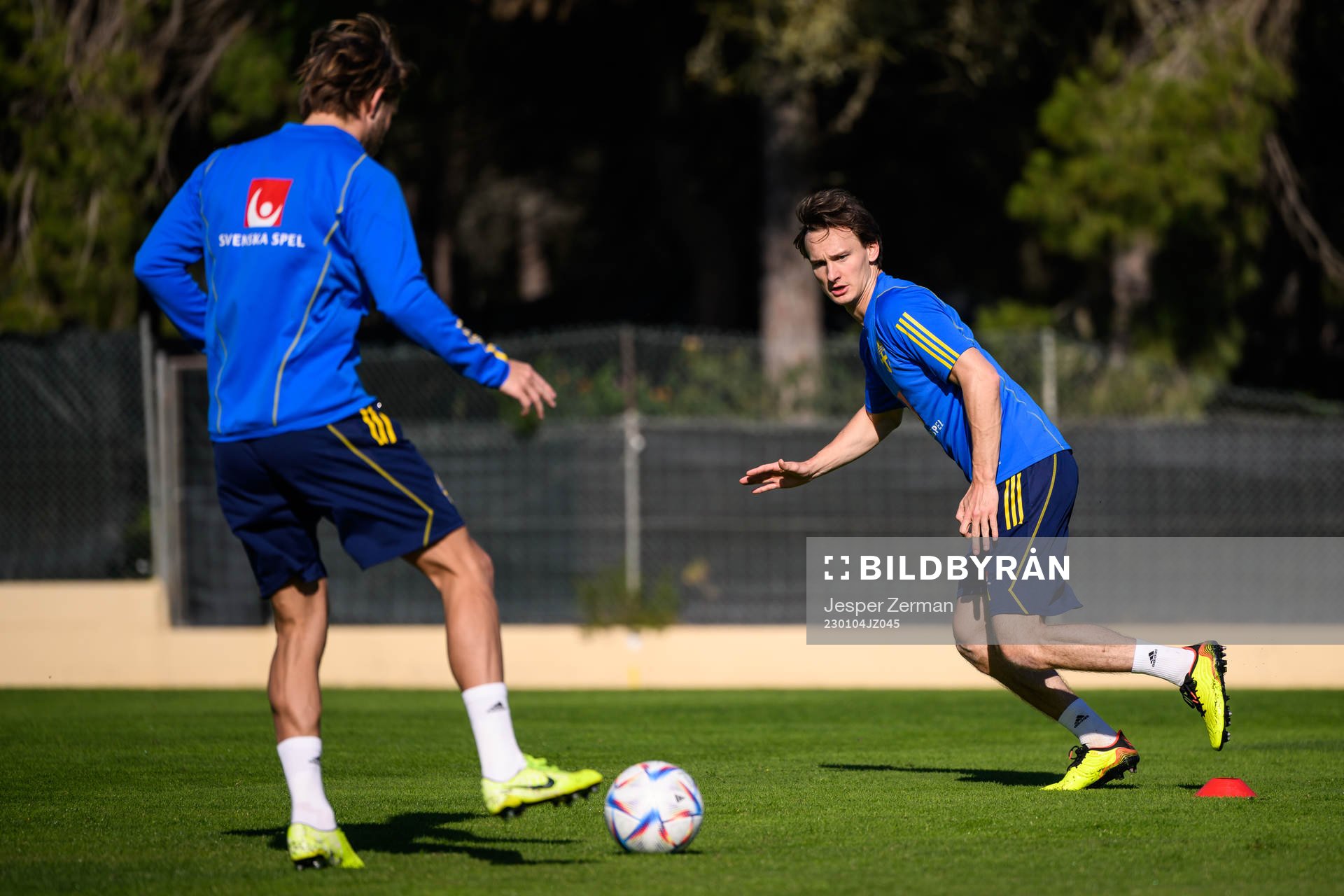 Hjalmar Ekdal of the Swedish men's football national team