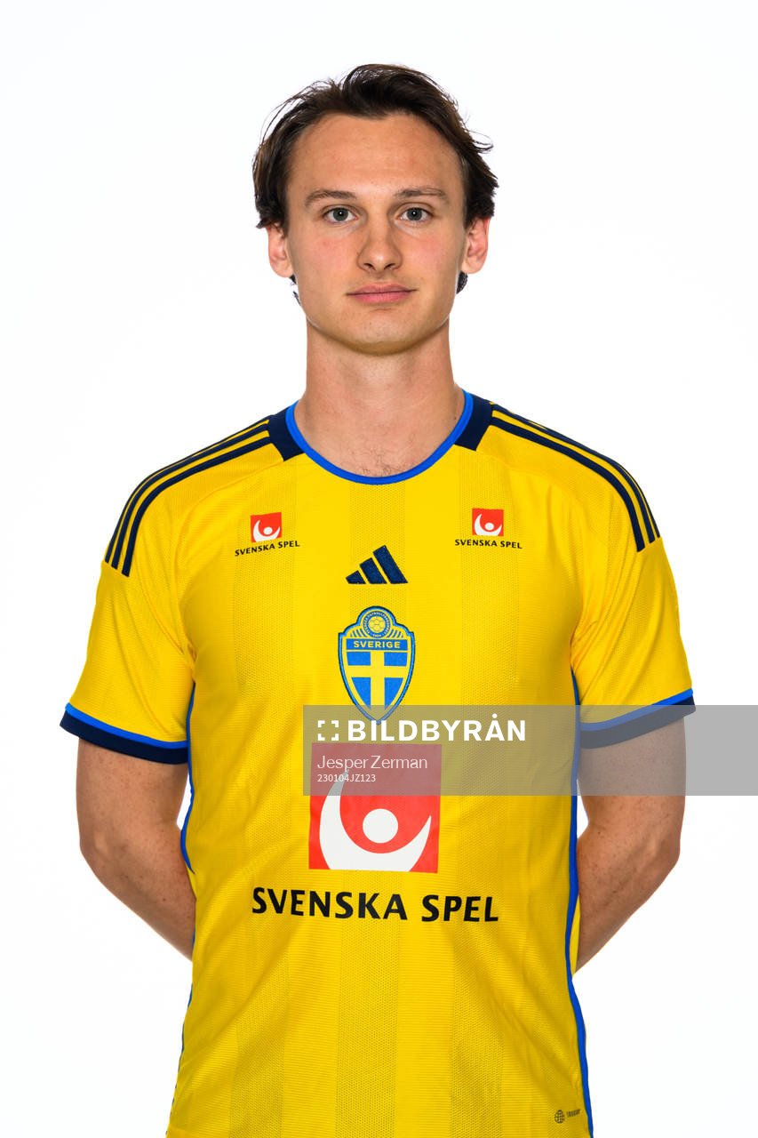 Hjalmar Ekdal of the Swedish men's football national team