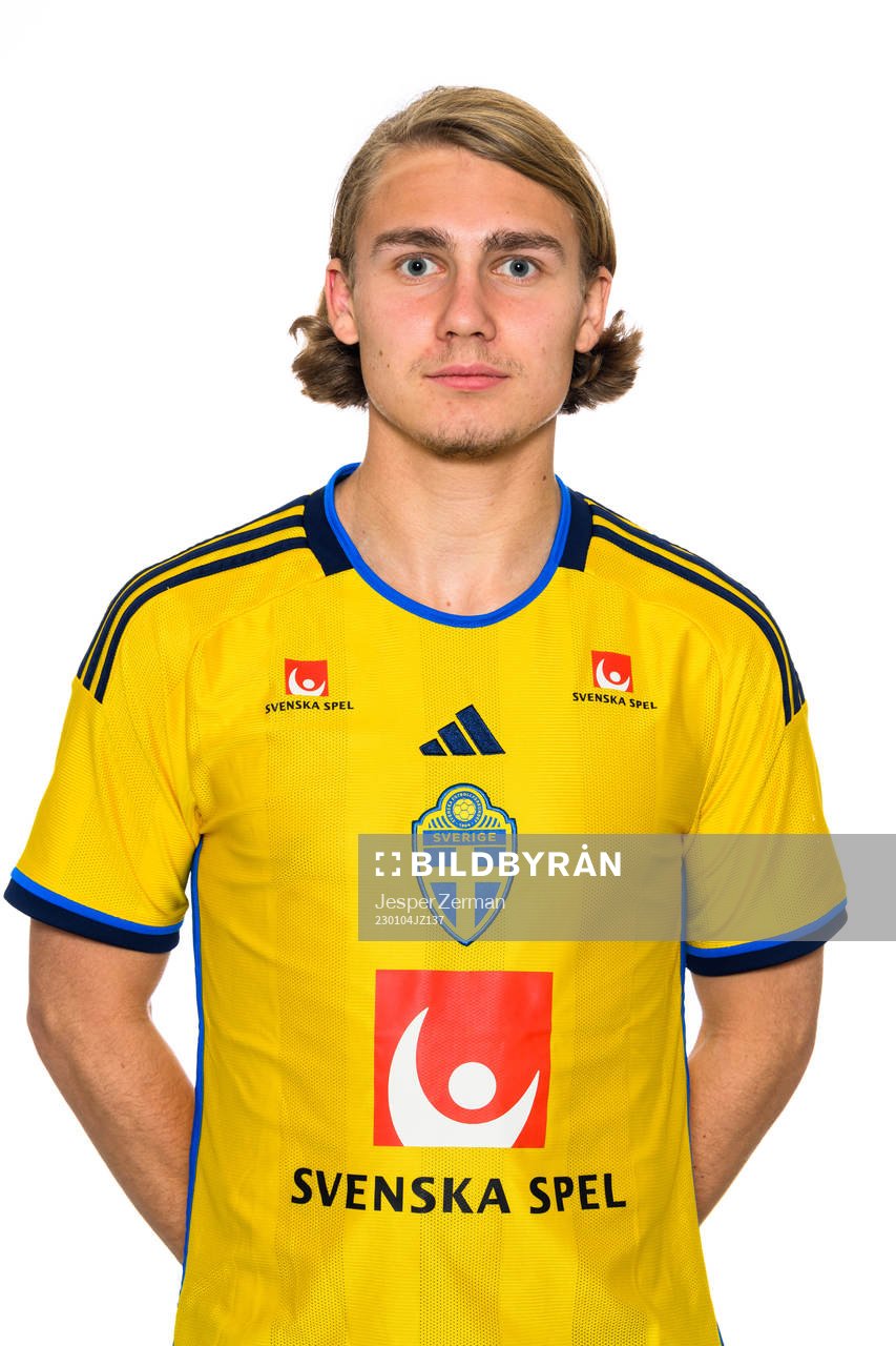 Sebastian Nanasi of the Swedish men's football national