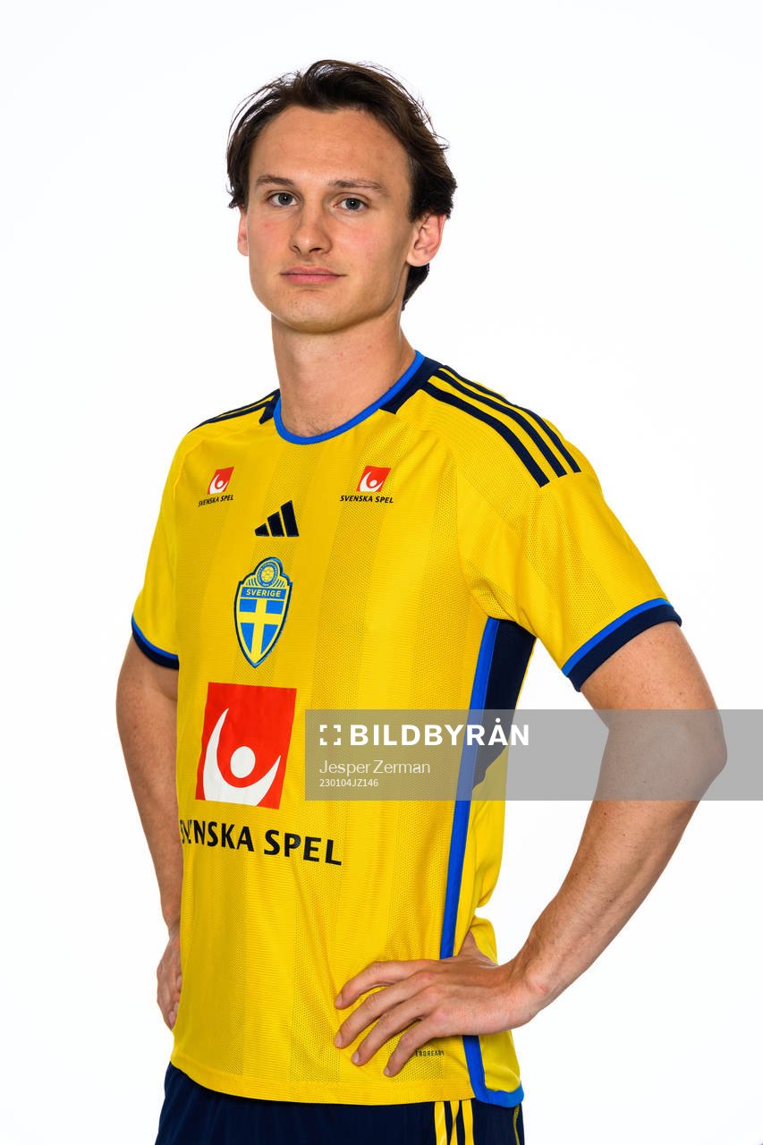 Hjalmar Ekdal of the Swedish men's football national team