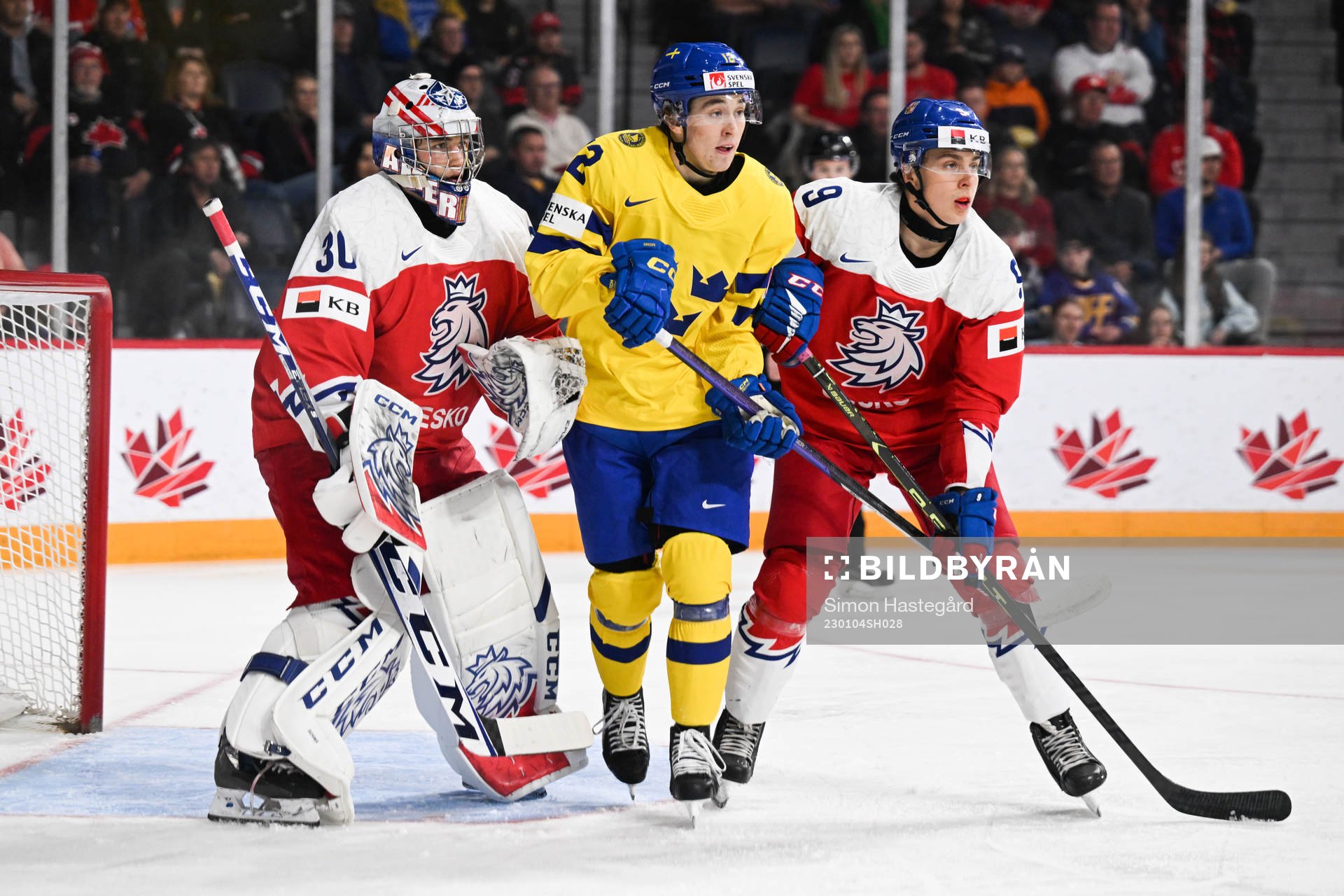 Goalkeeper Tomas Suchanek and Tomas Hamara of Czech