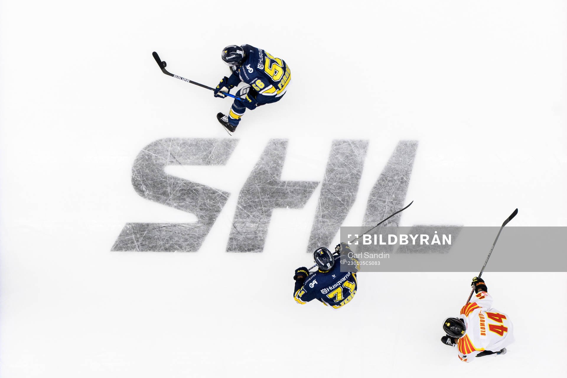 HV71s Fredrik Forsberg, Tyler Vesel och Brynäs Jacob