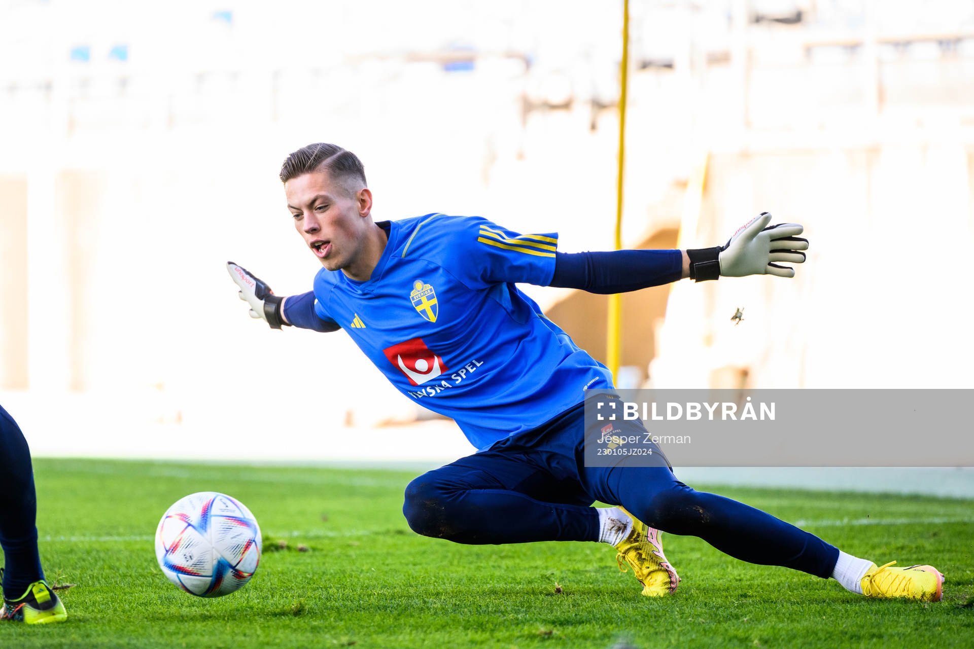 goalkeeper Leopold Wahlstedt of the Swedish men's football