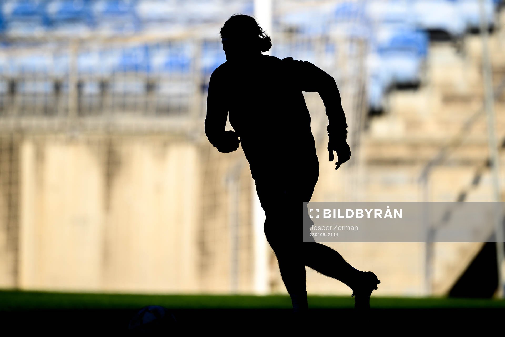 The silhouette of Sebastian Nanasi of the Swedish men's