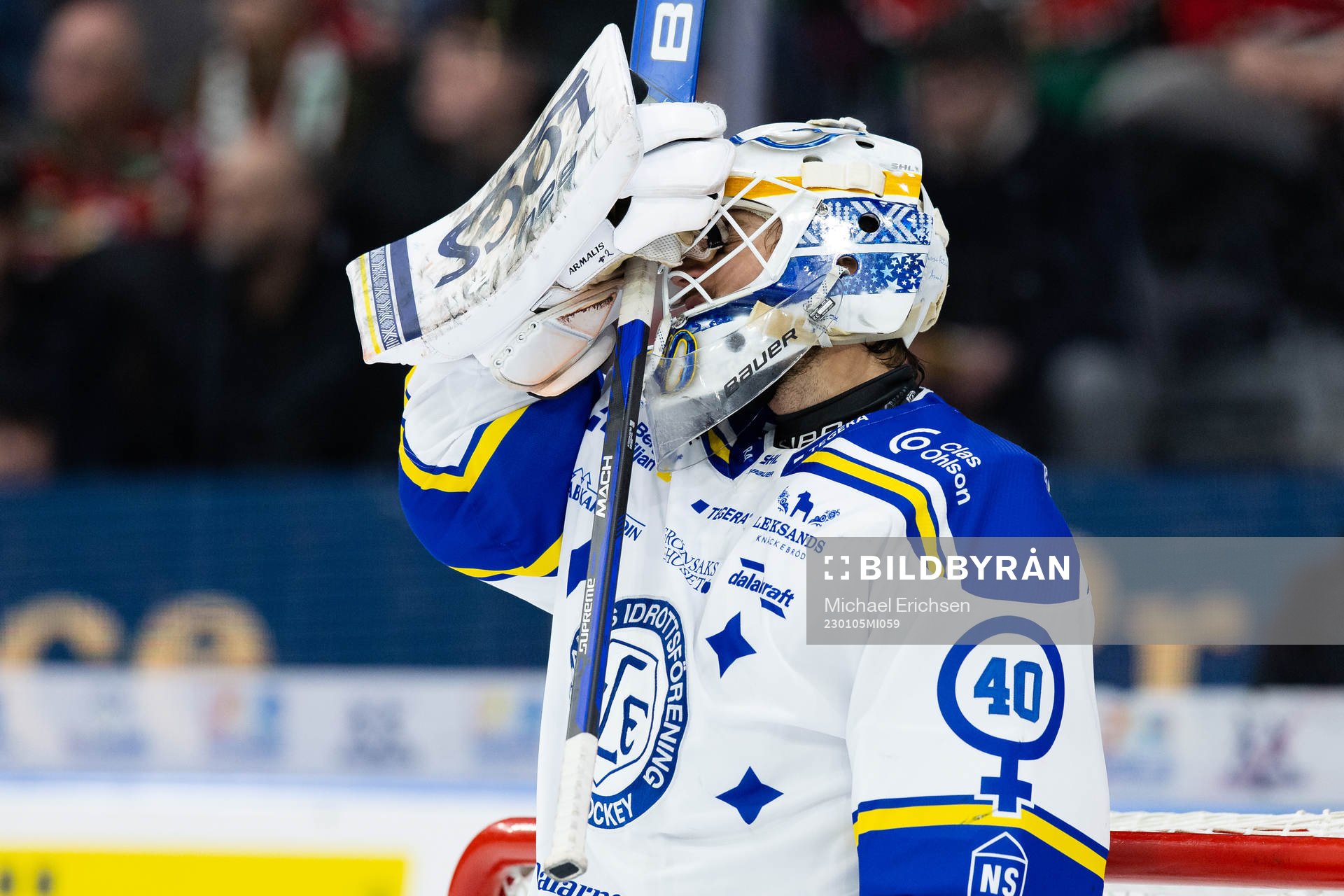 Leksands målvakt Mantas Armalis