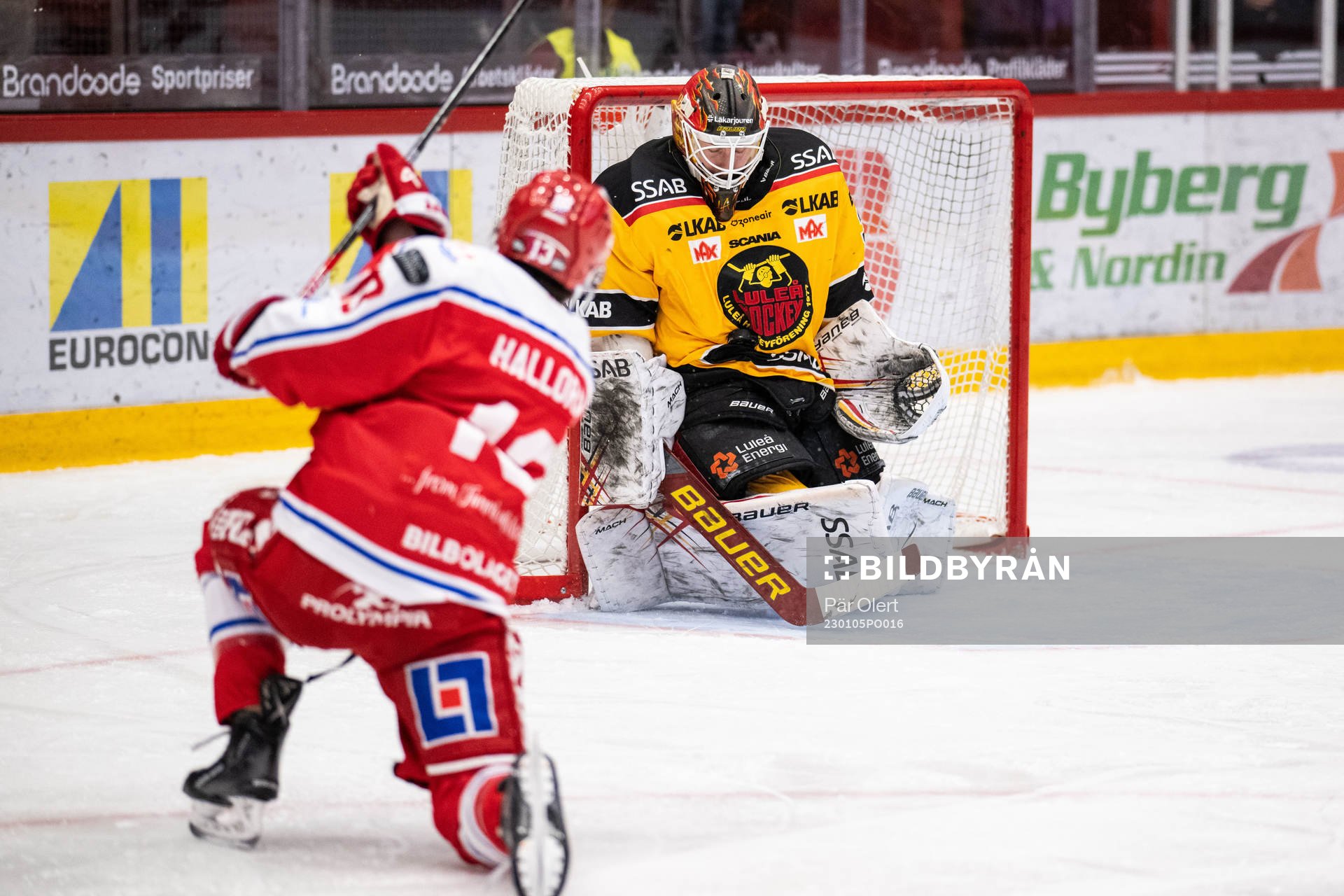 Timrås Nicholas Halloran och Luleås målvakt Joel