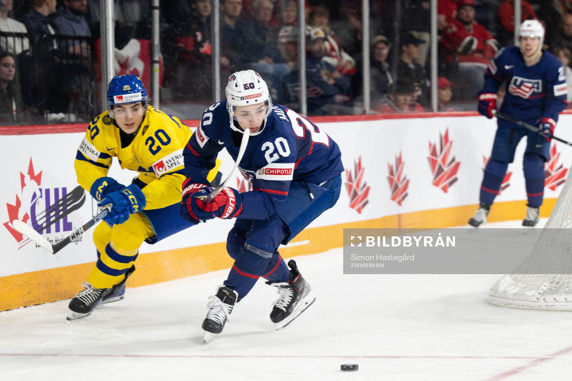 Liam Öhgren of Sweden and Lane Hutson of USA