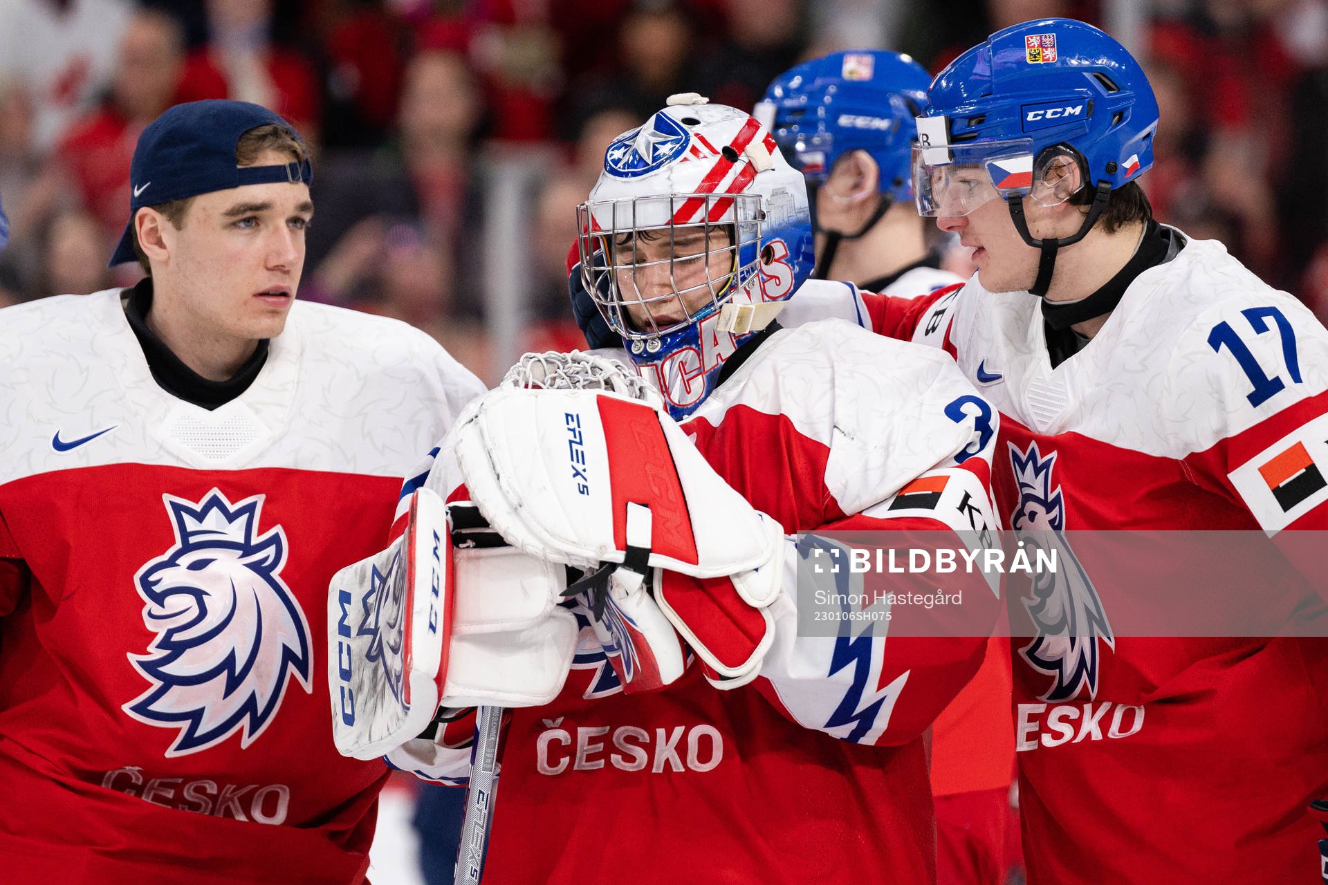 Goaltender Tomas Suchanek of Czech Republic looks dejected