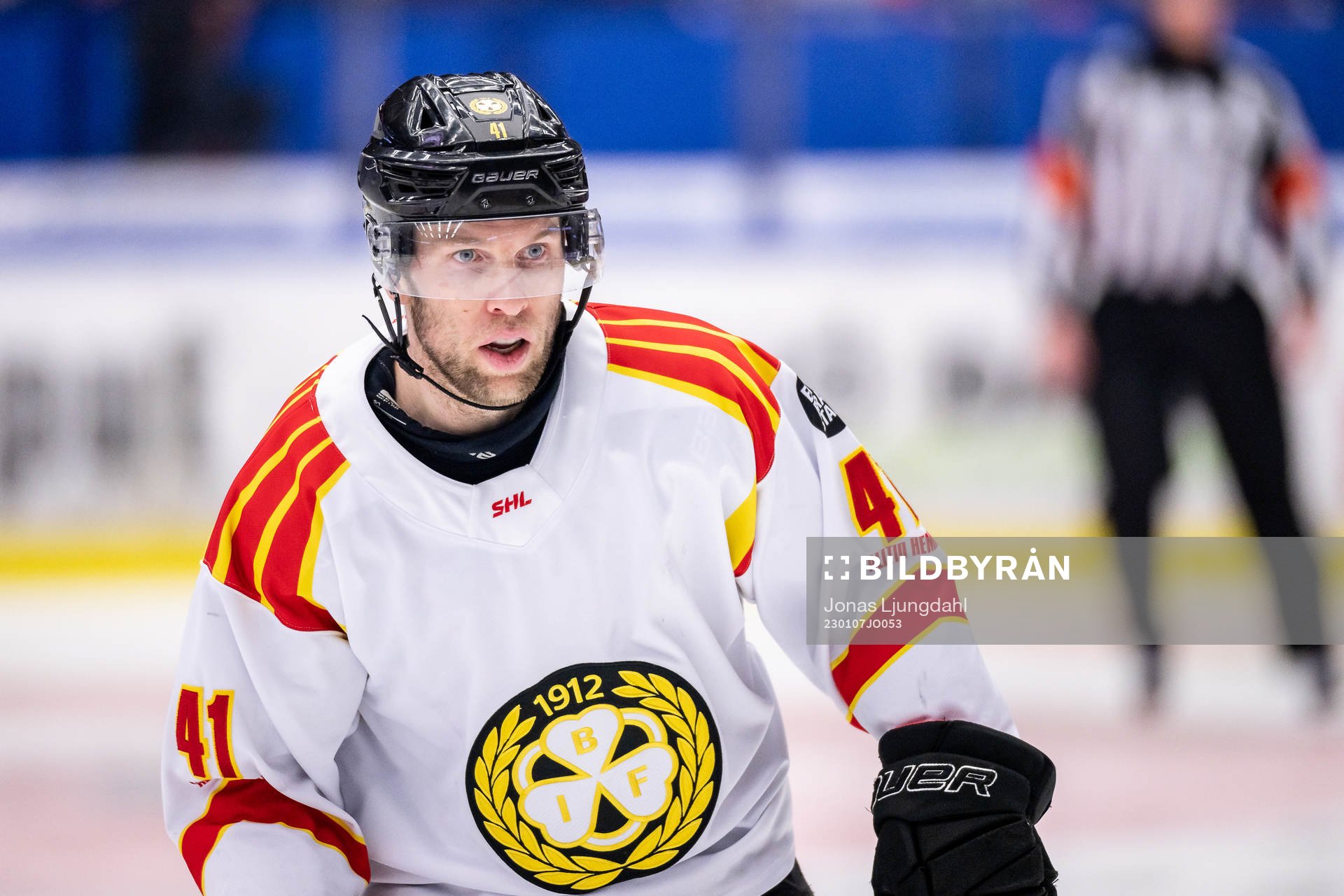 Brynäs Greg Scott