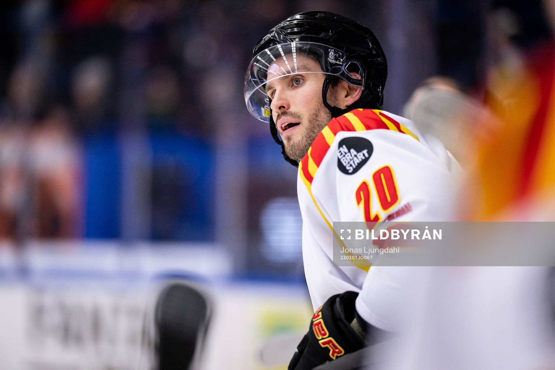 Brynäs Oula Palve