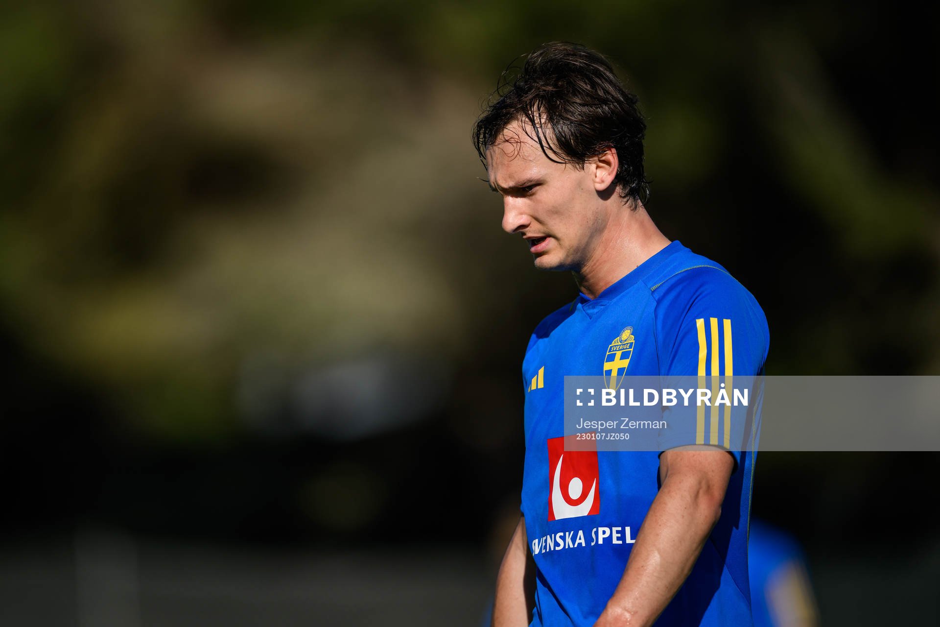 Hjalmar Ekdal of the Swedish men's football national team