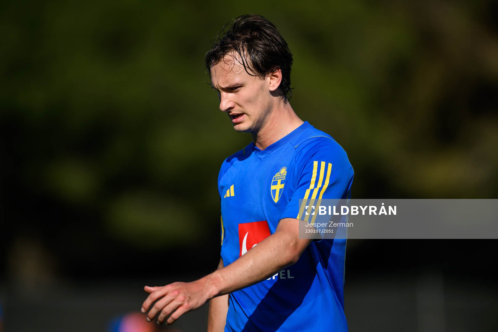 Hjalmar Ekdal of the Swedish men's football national team