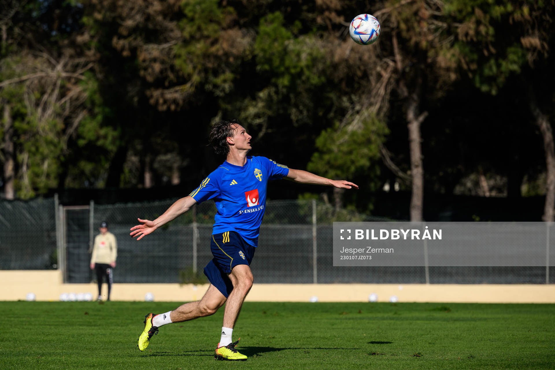 Hjalmar Ekdal of the Swedish men's football national team