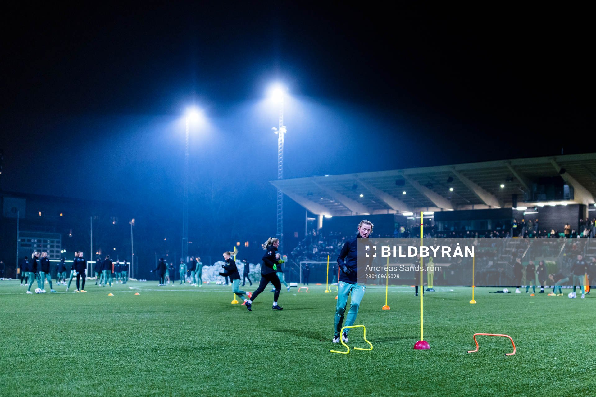 Hammarbys spelare