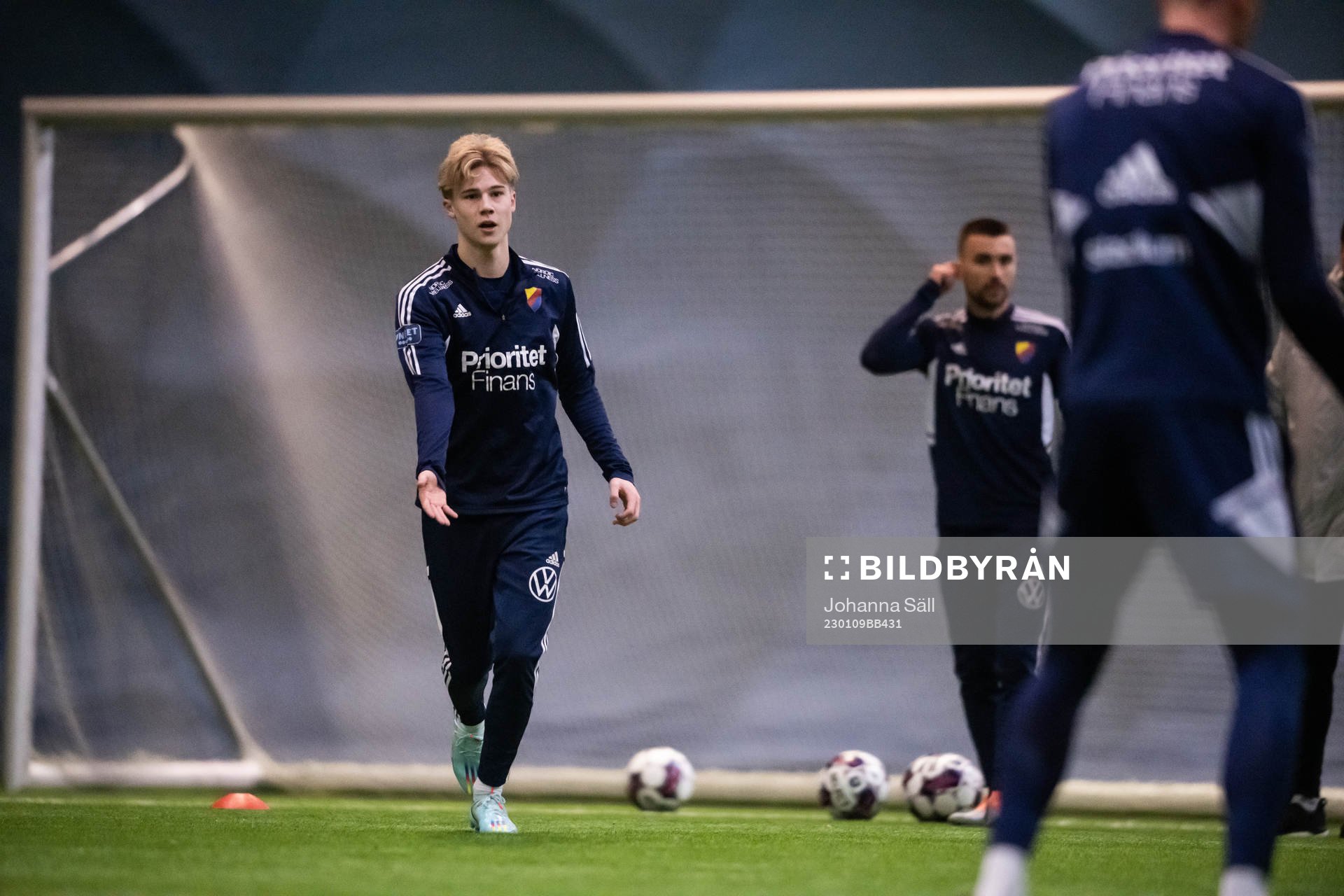 Theo Bergvall