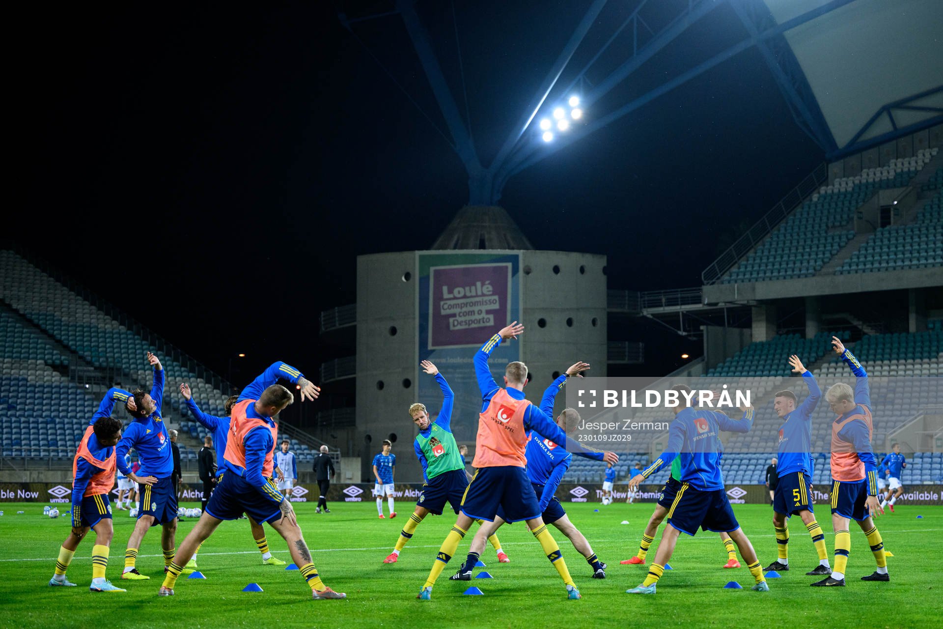Players of Sweden