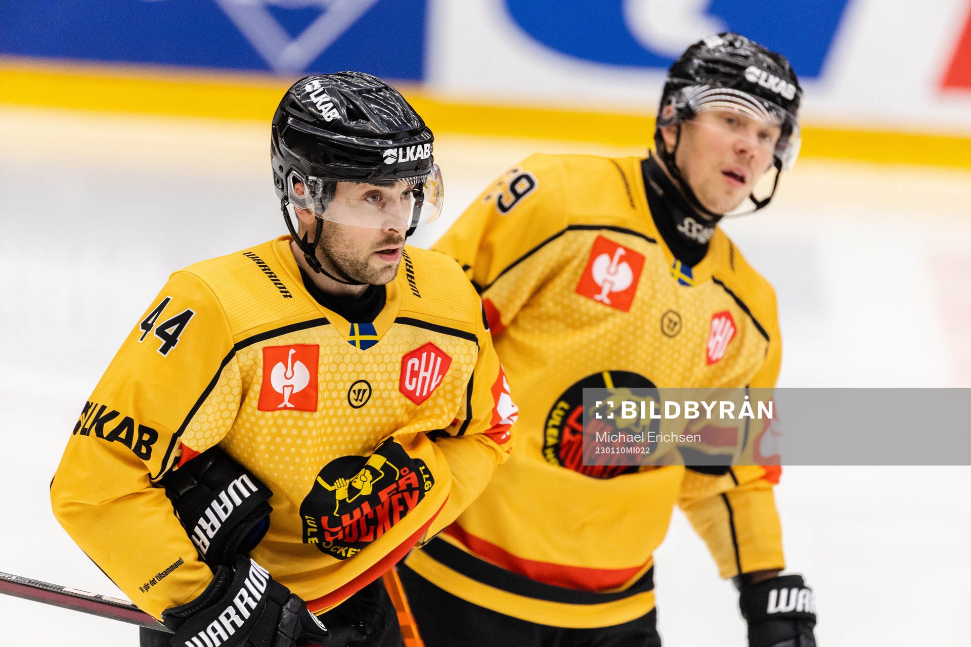 Jonathan Andersson and Erik Gustafsson of Luleå