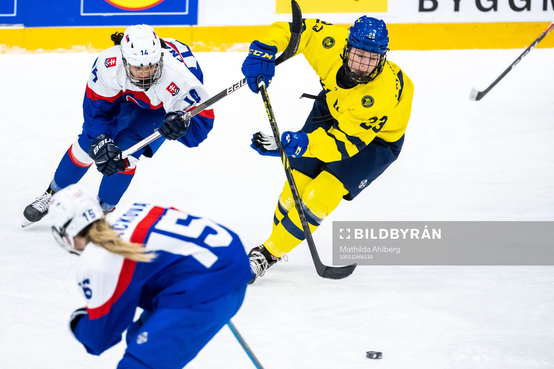 Lilien Benakova of Slovakia and Isabelle Leijonhielm of