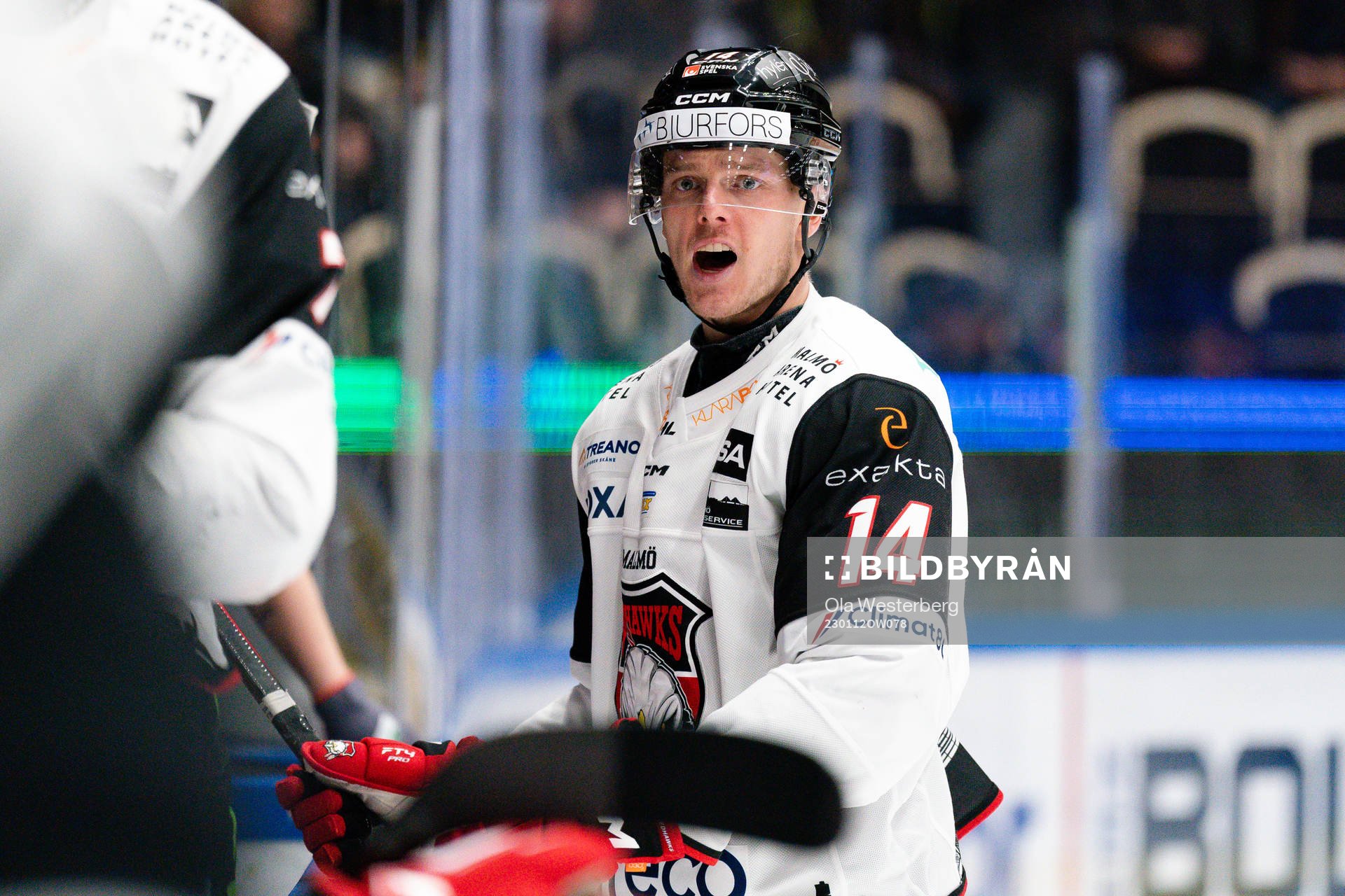 Malmö Redhawks Carl-Johan Lerby är arg på medspelare