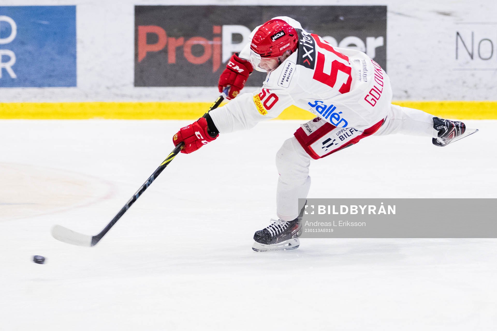 Almtunas Georgs Golovkovs