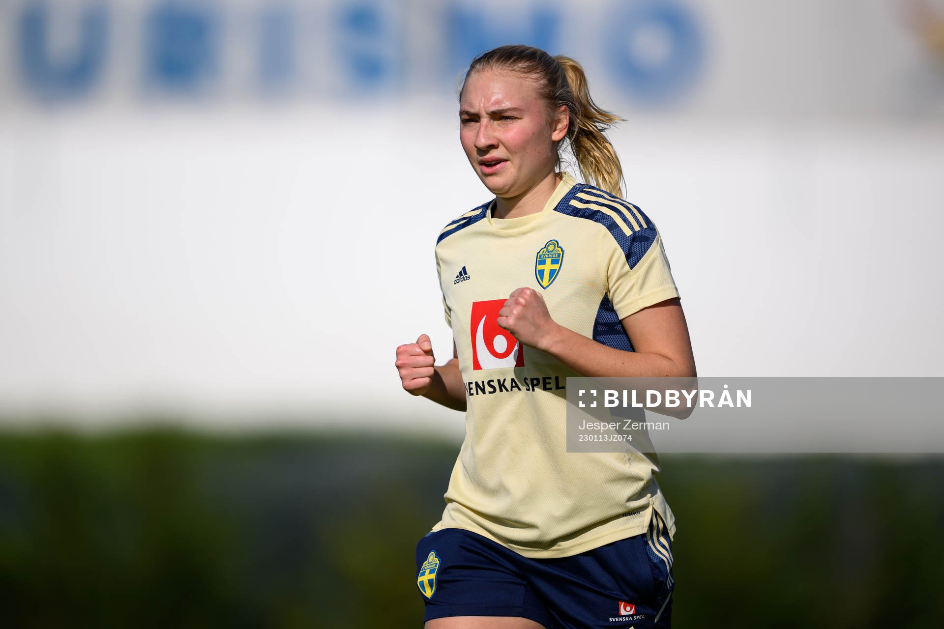 Stinalisa Johansson of the Swedish women's national
